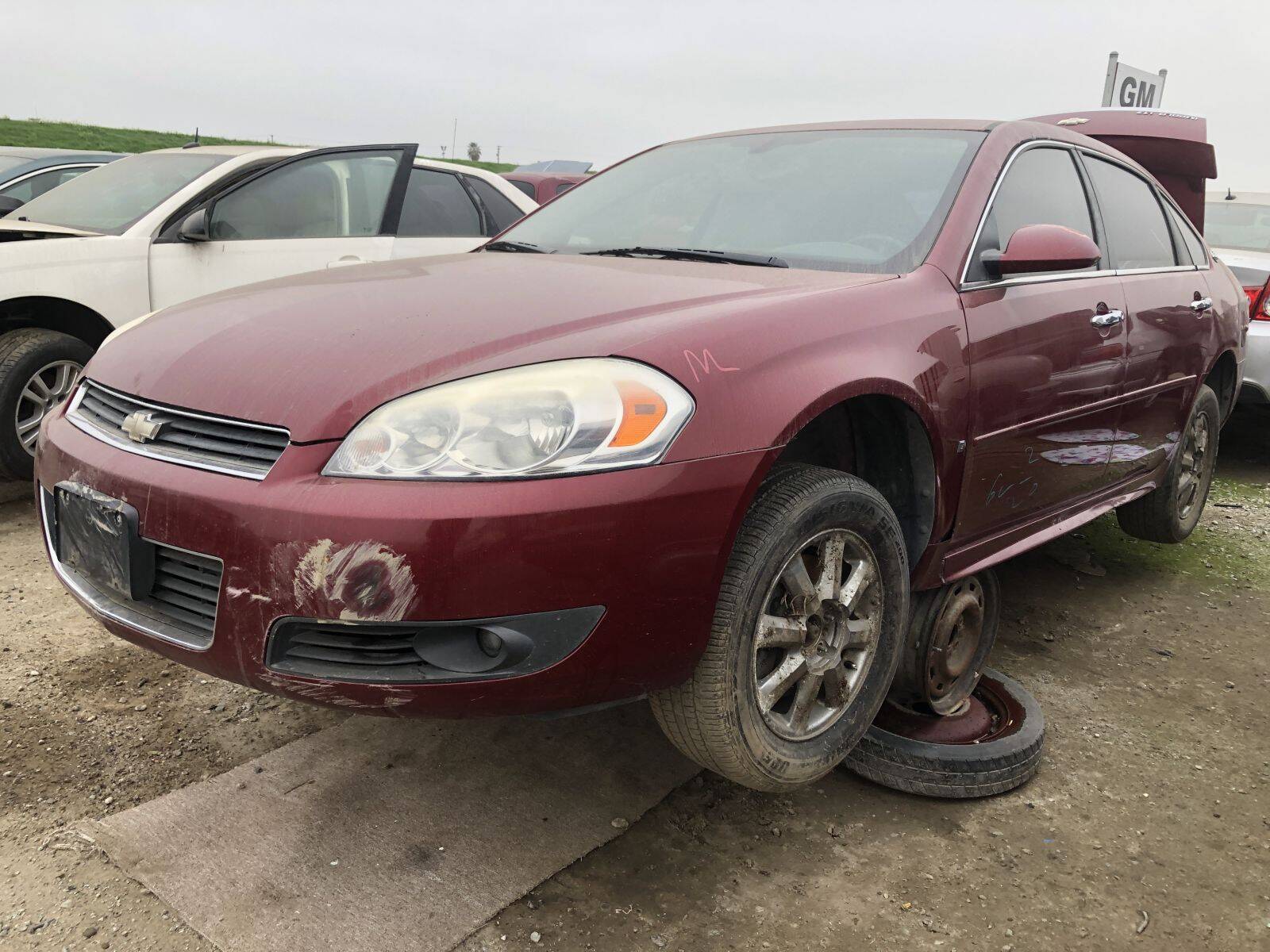 Catalog item FRE109429