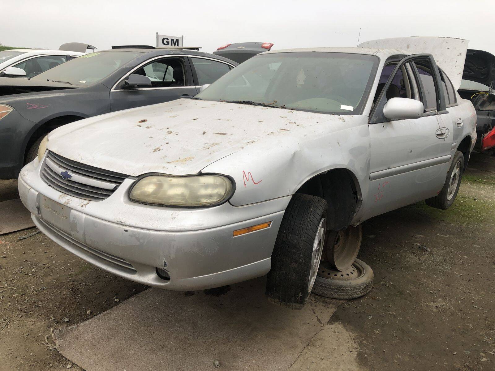 Catalog item FRE109449