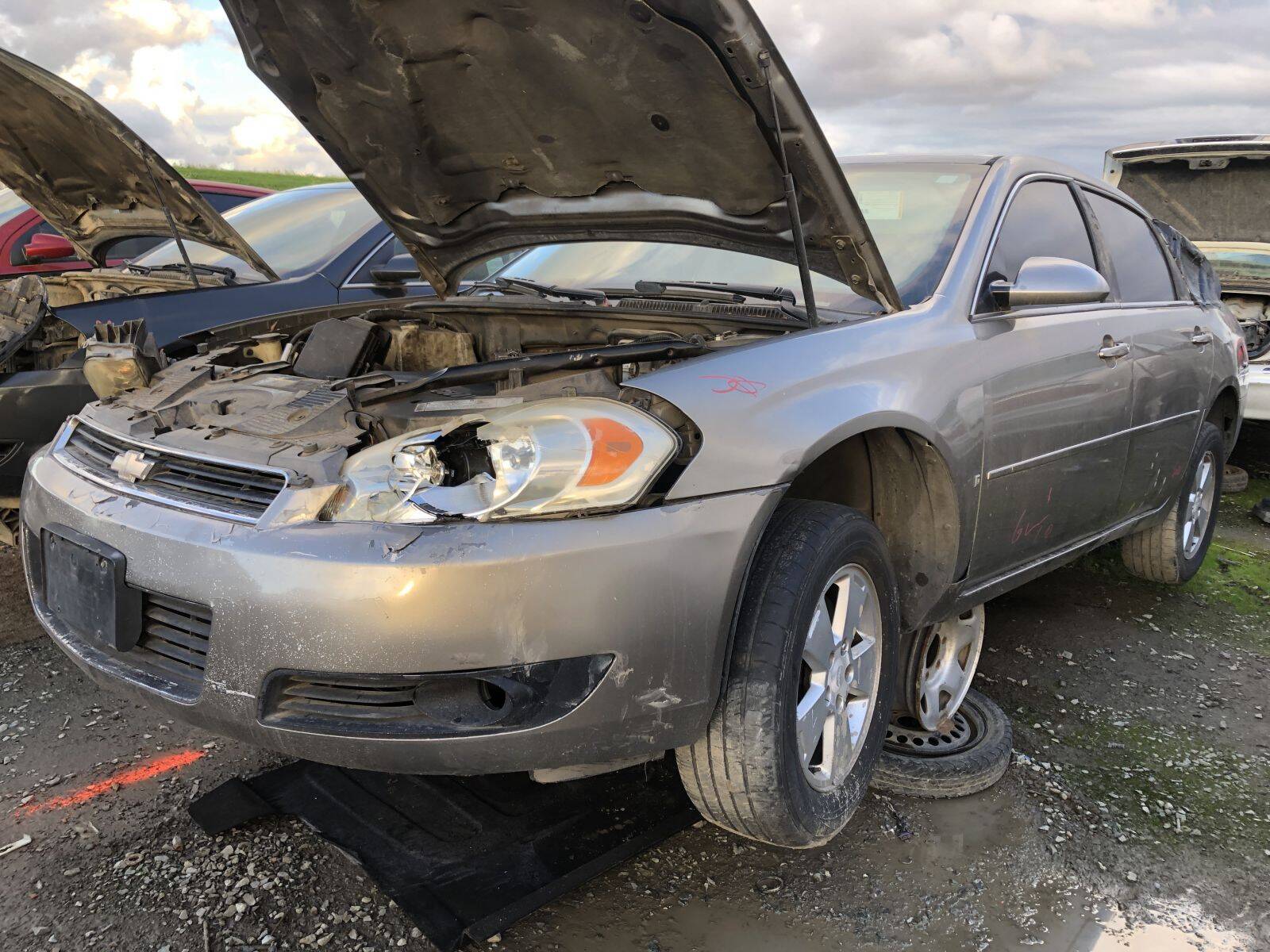 Catalog item FRE109486