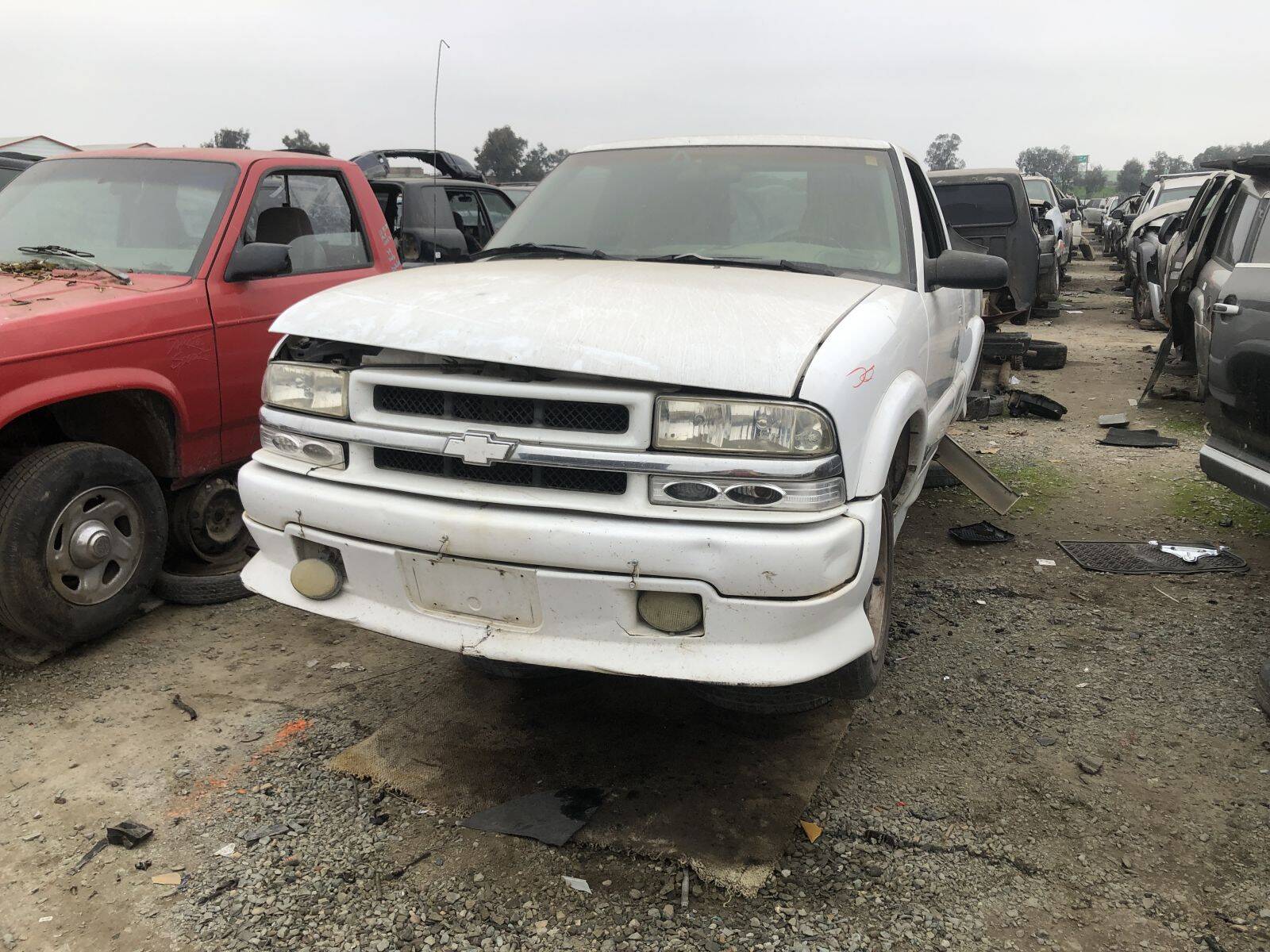 Catalog item FRE109506