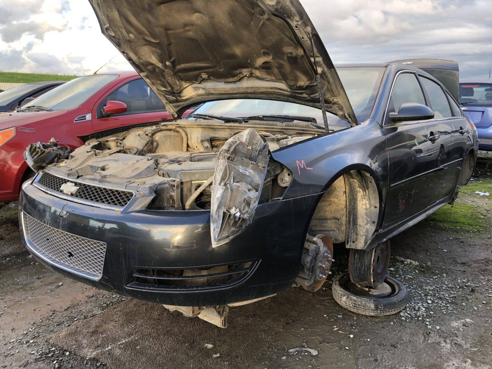 Catalog item FRE109508