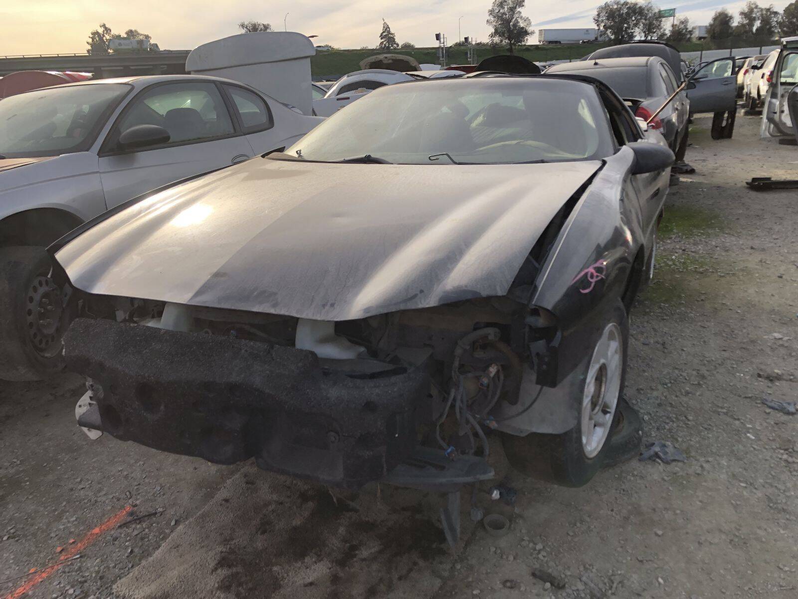 Catalog item FRE109549