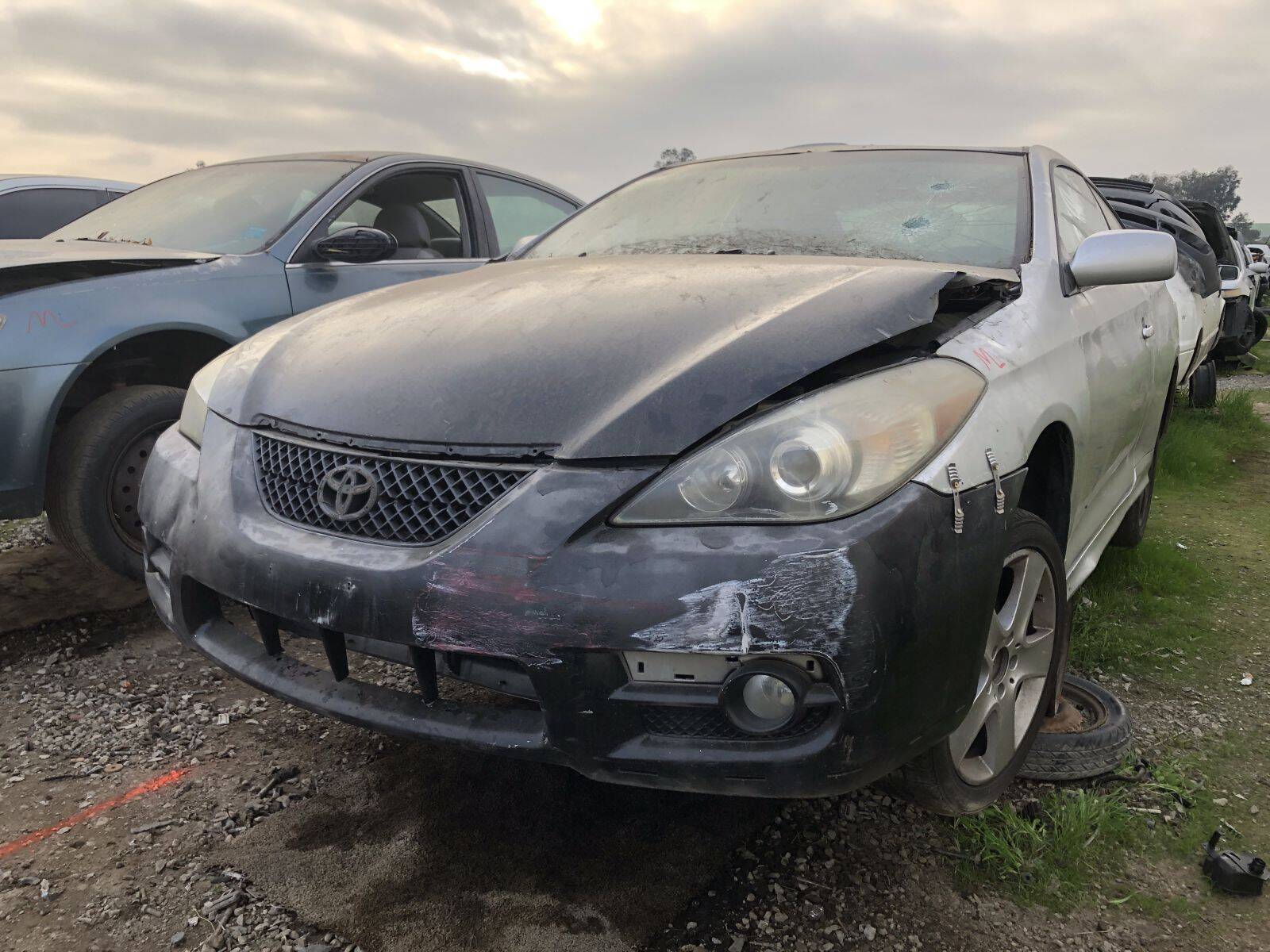 Catalog item FRE109574