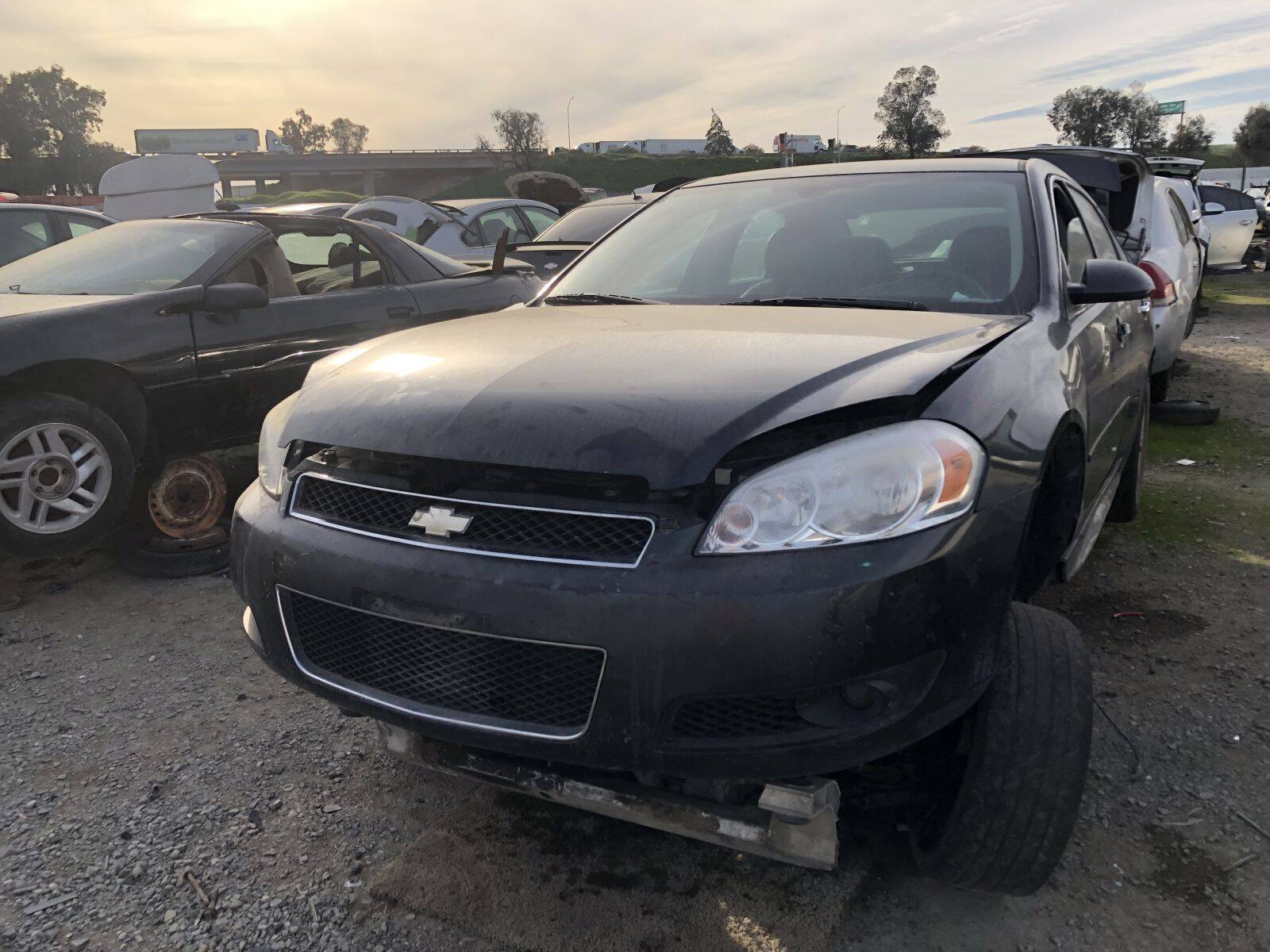 Catalog item FRE109577