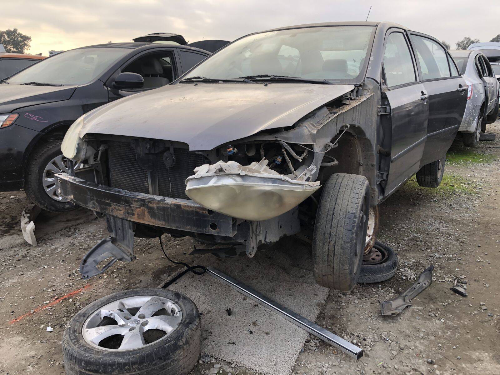 Catalog item FRE109589