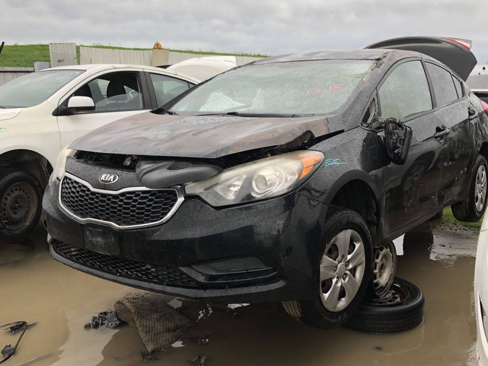 Artículo del catálogo FRE109602