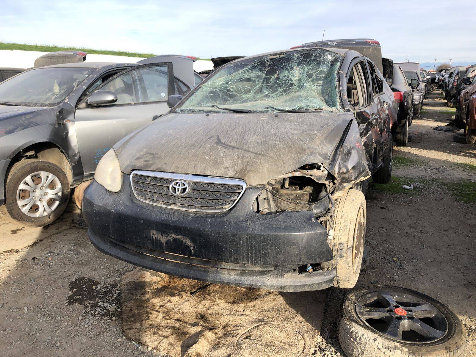 Catalog item FRE109613