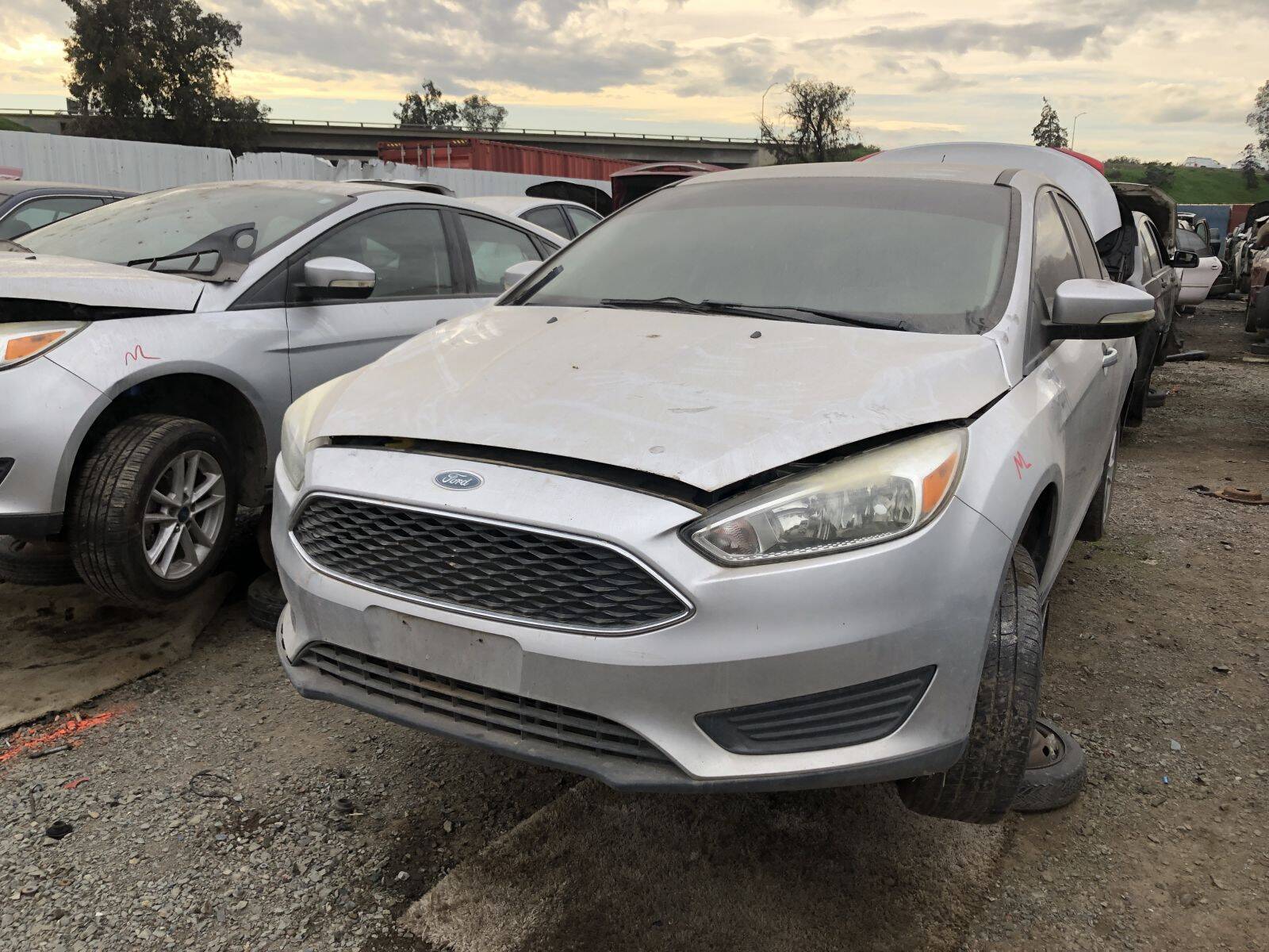 Artículo del catálogo FRE109619