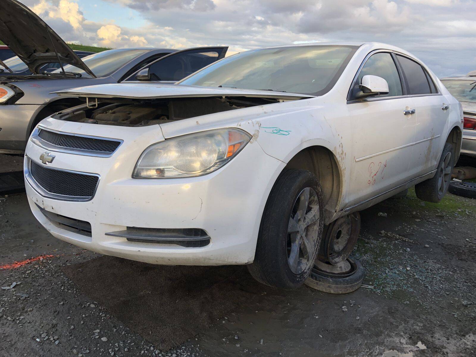 Catalog item FRE109679