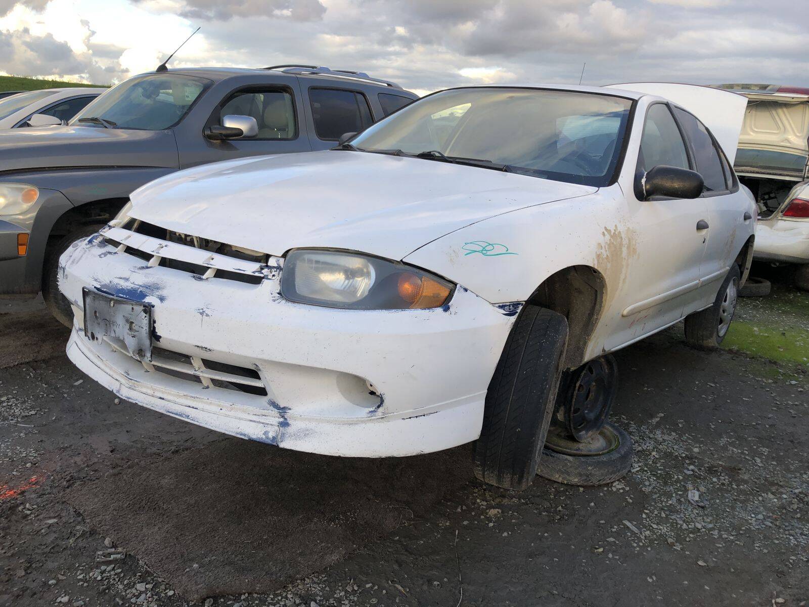 Catalog item FRE109686