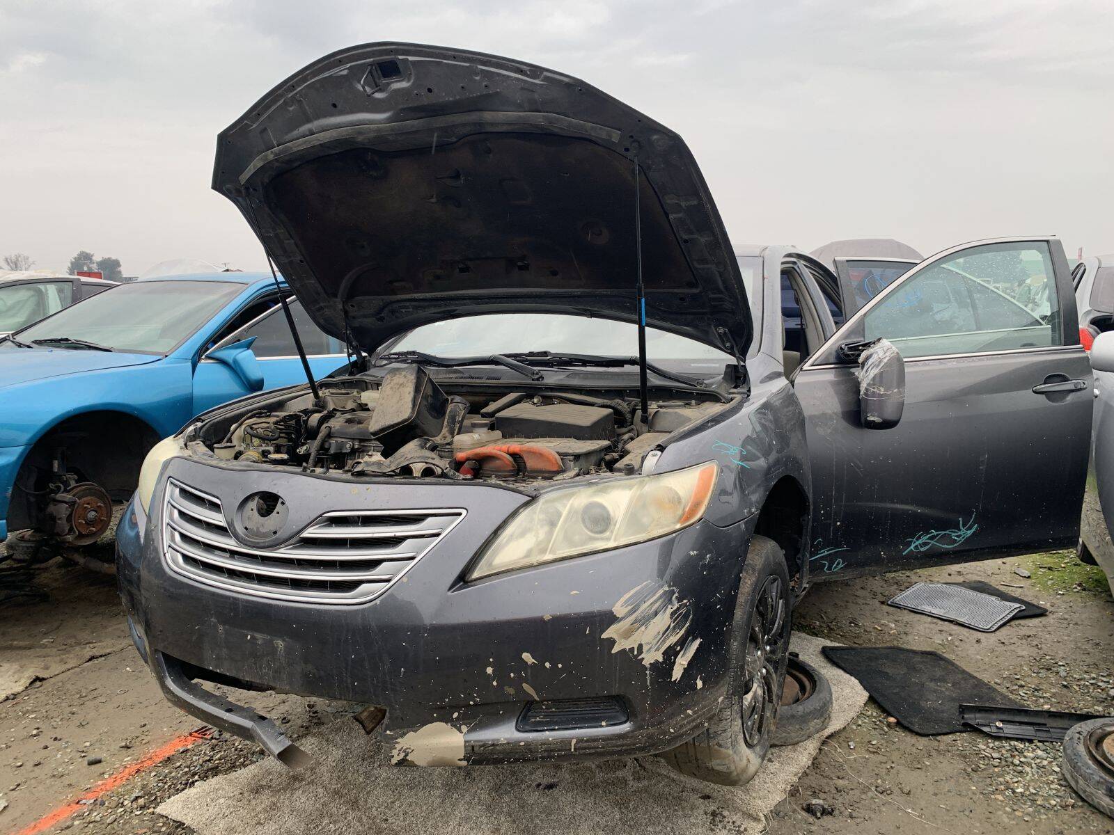 Catalog item FRE109712