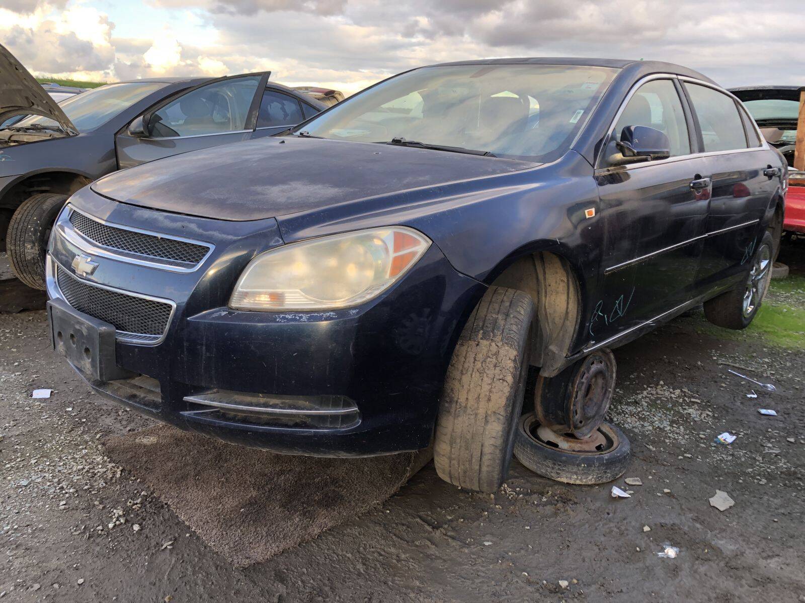 Catalog item FRE109731