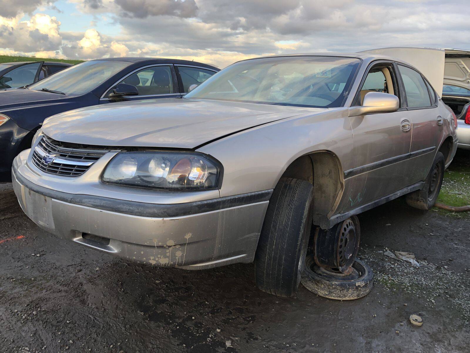 Catalog item FRE109732