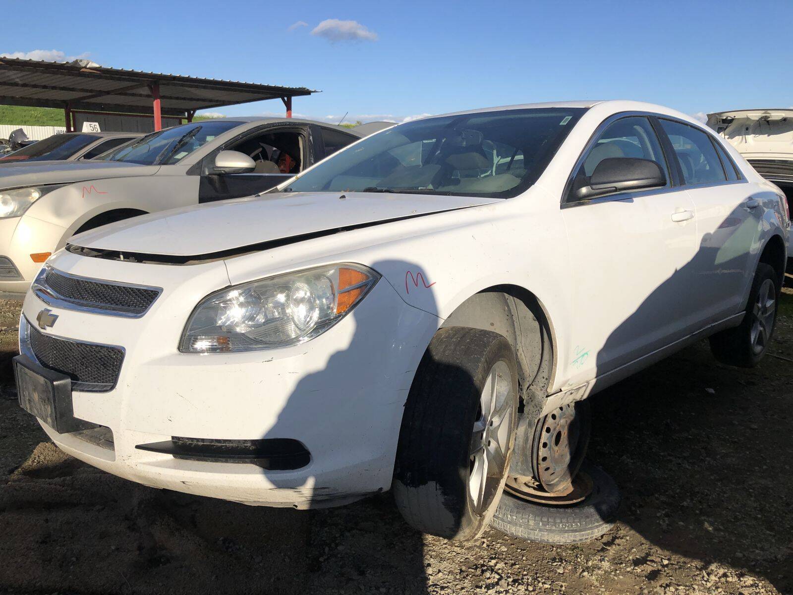 Catalog item FRE109758