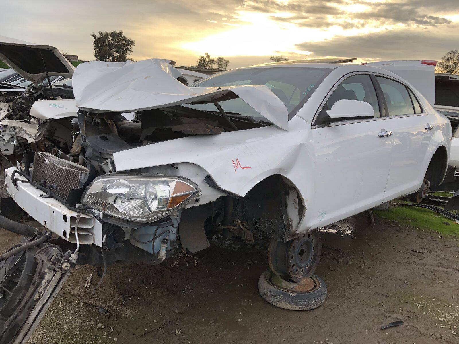 Catalog item FRE109769