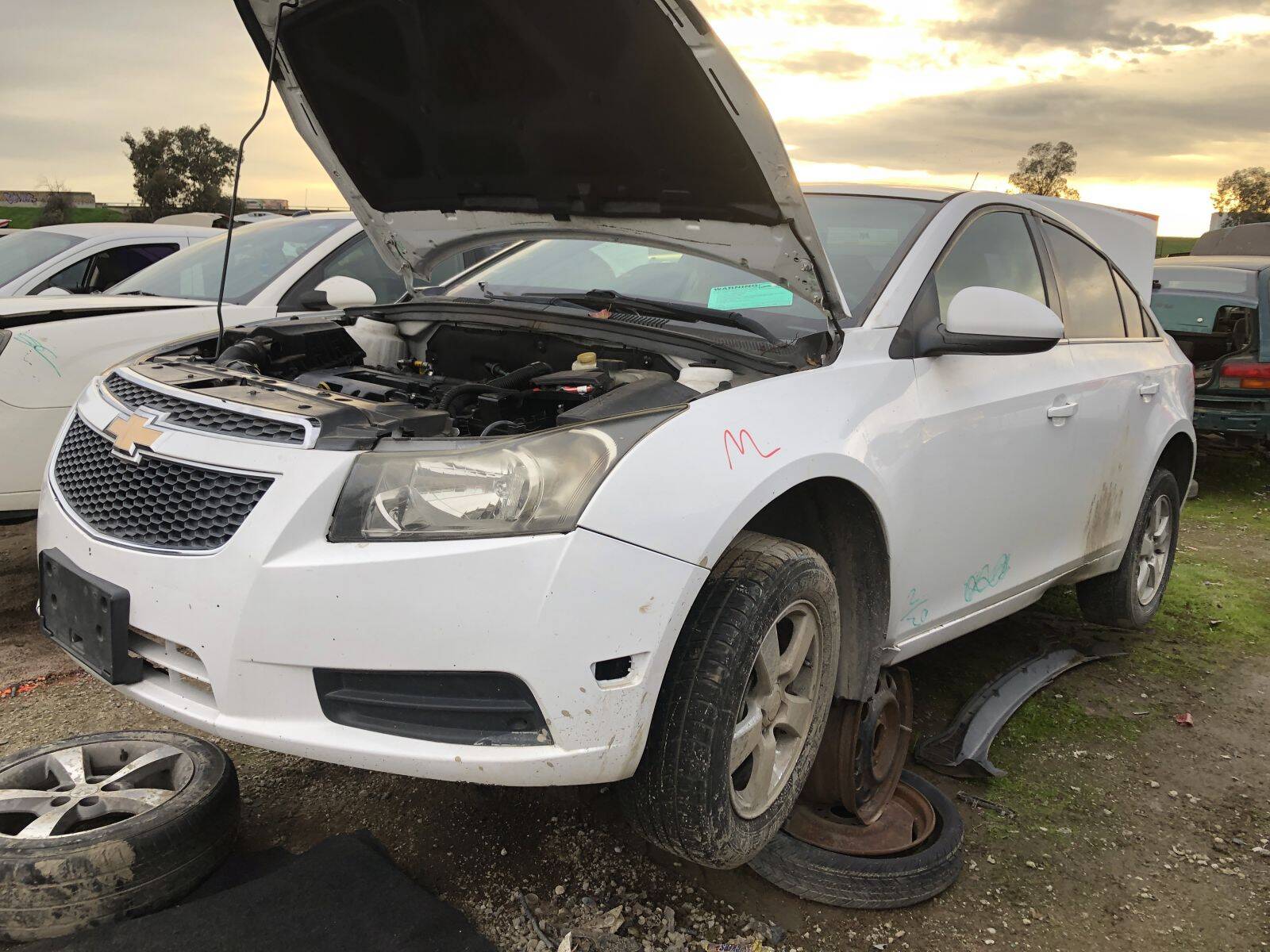 Catalog item FRE109775