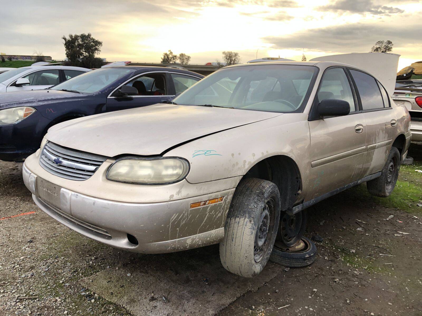 Catalog item FRE109787