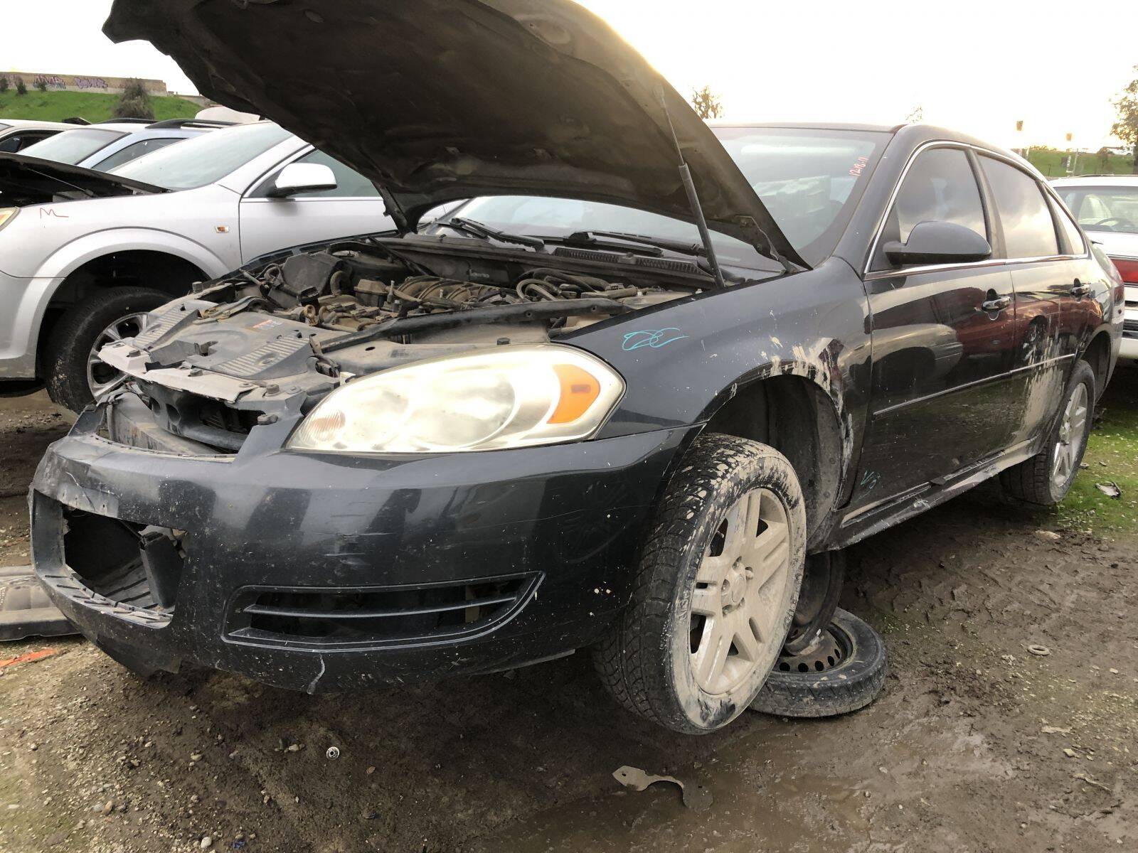 Catalog item FRE109809