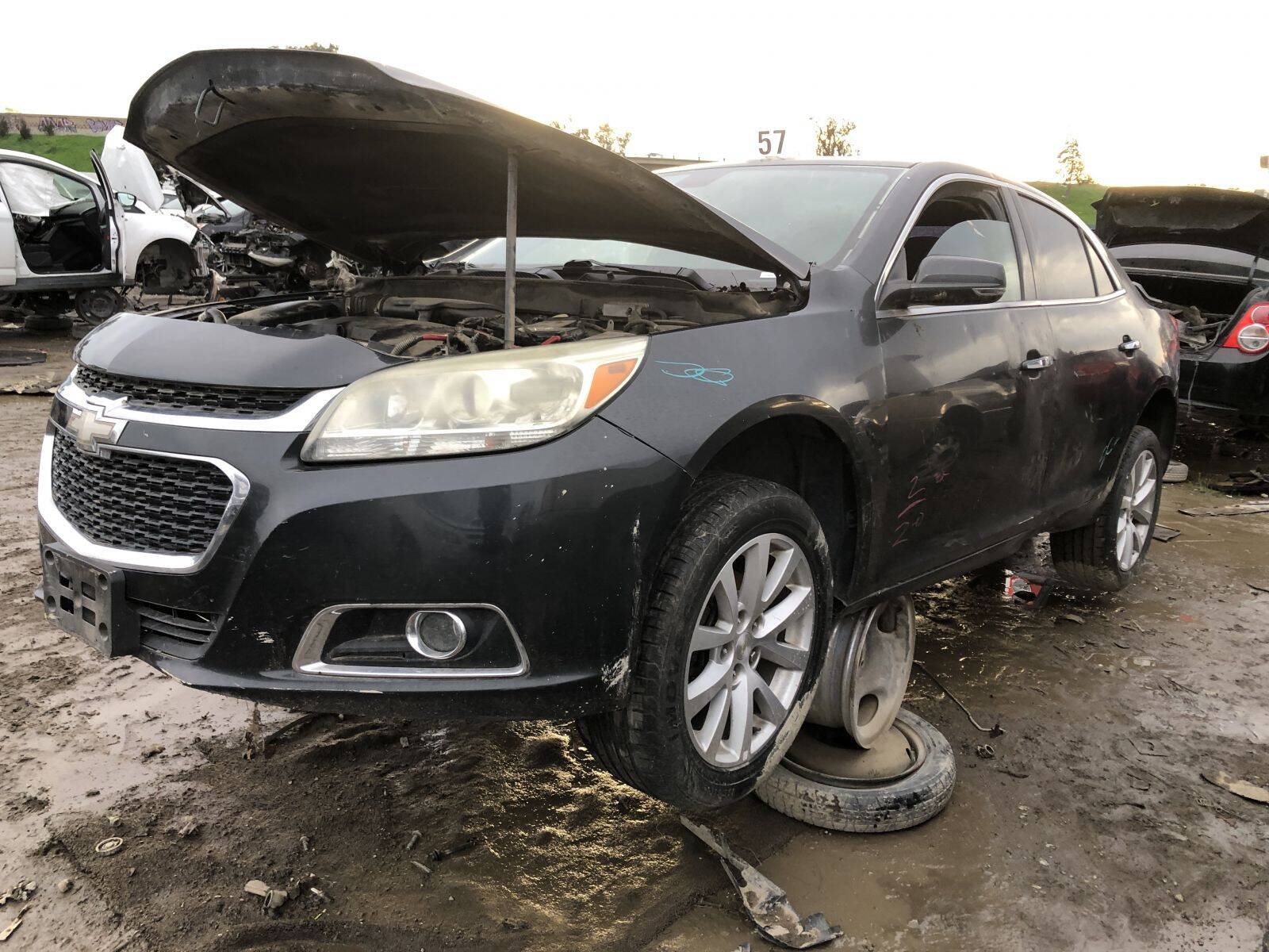 Catalog item FRE109841