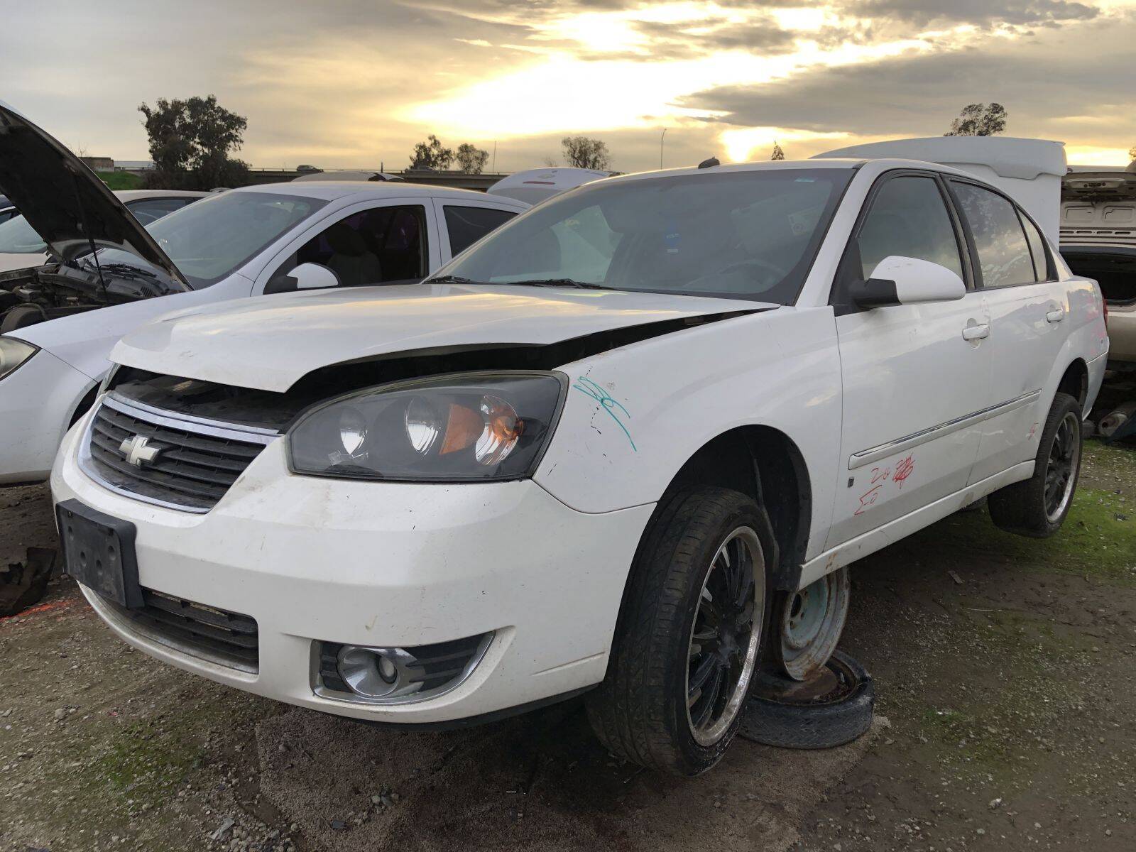 Catalog item FRE109880