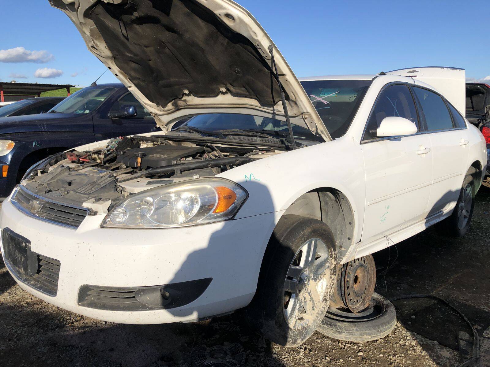 Catalog item FRE109908