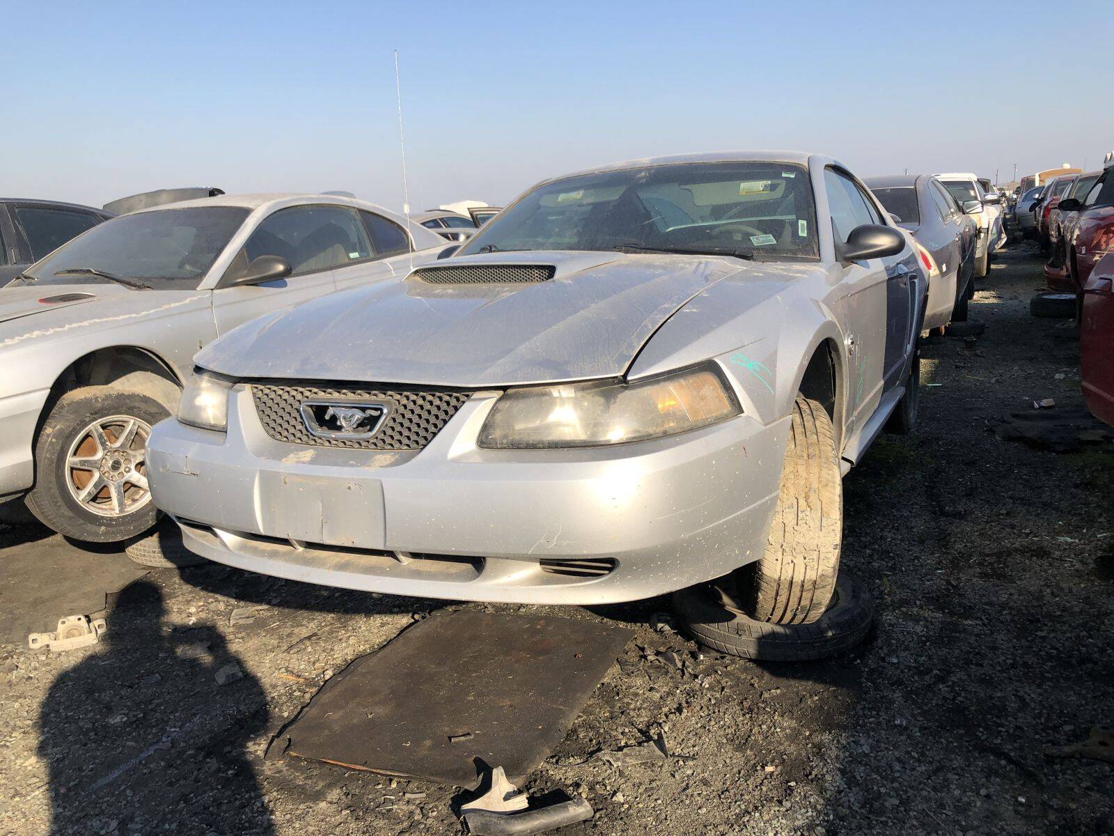 Catalog item FRE109987