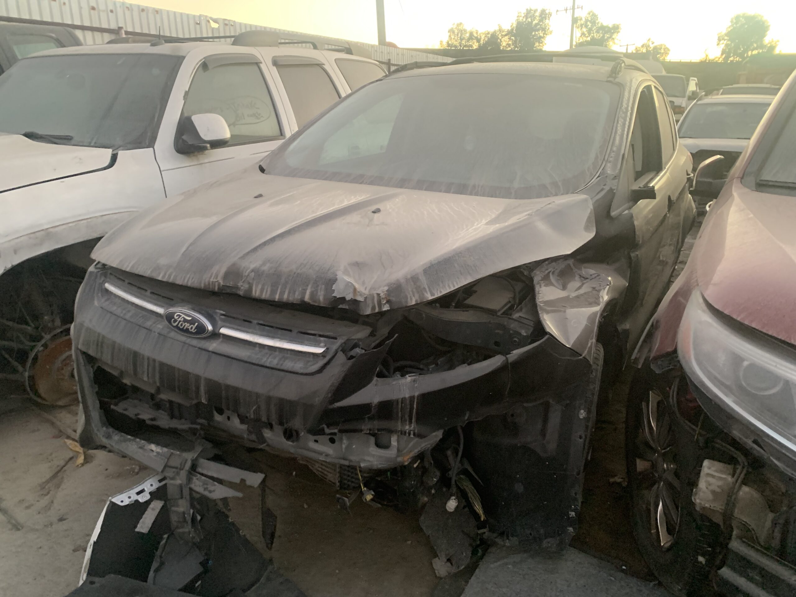 Catalog item FRE111201