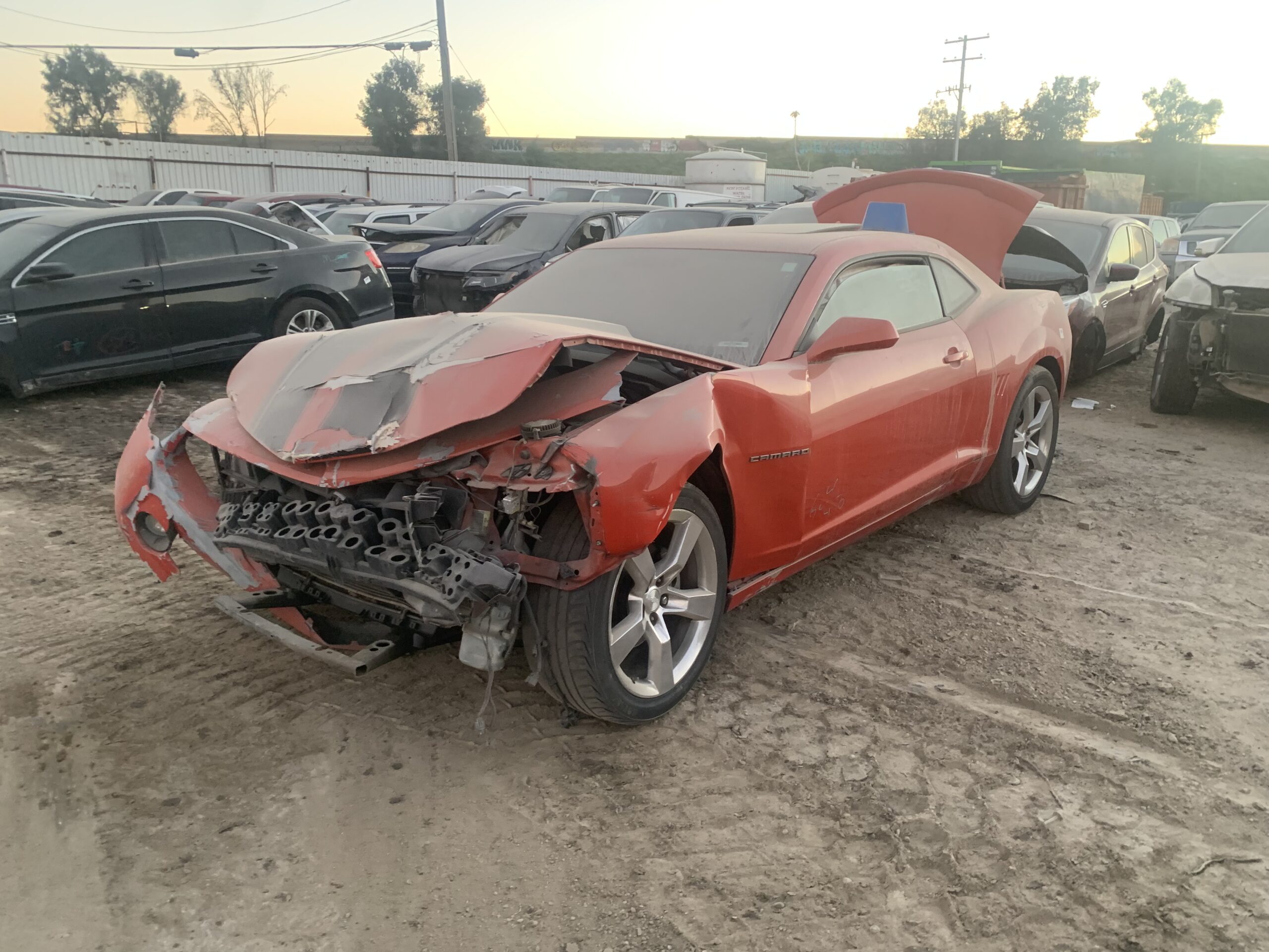 Catalog item FRE111575