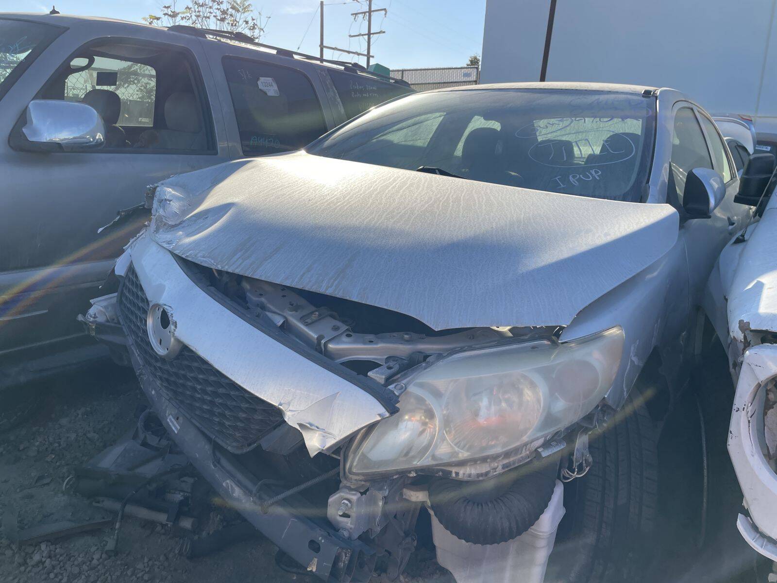 Catalog item POM058658