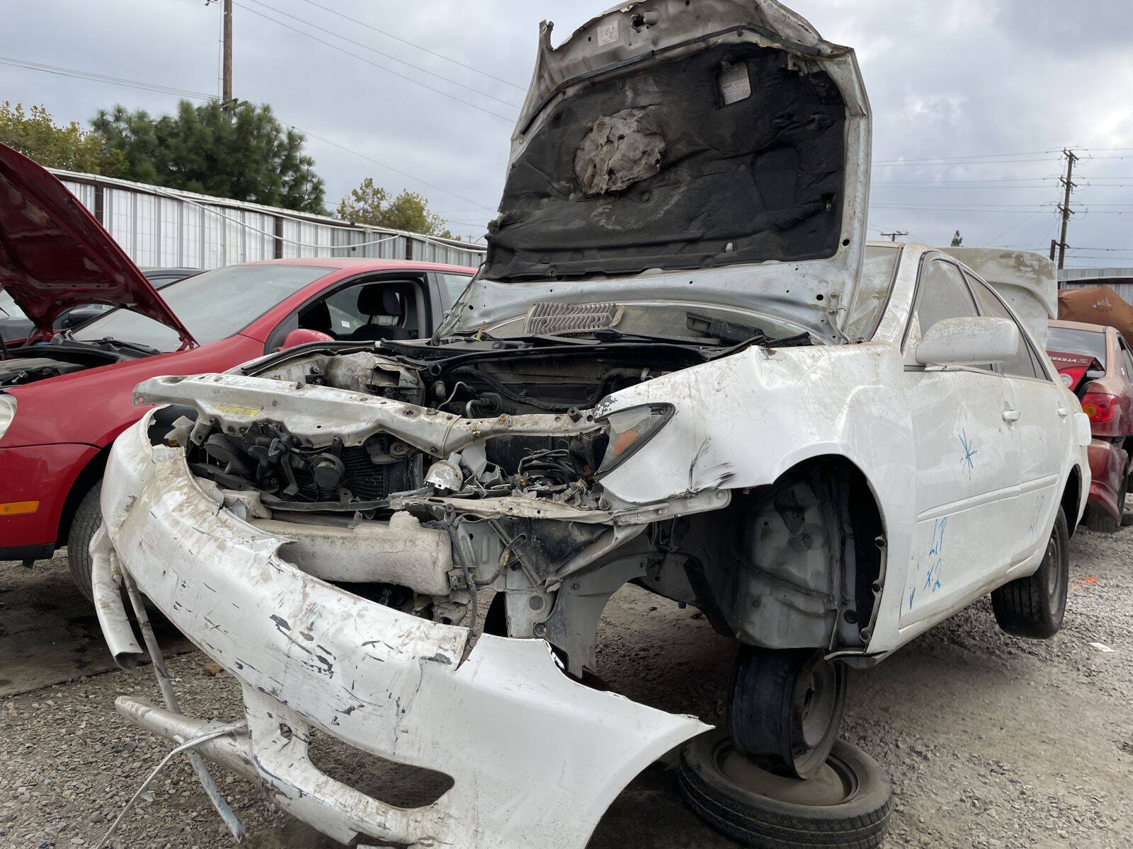 Catalog item POM058797