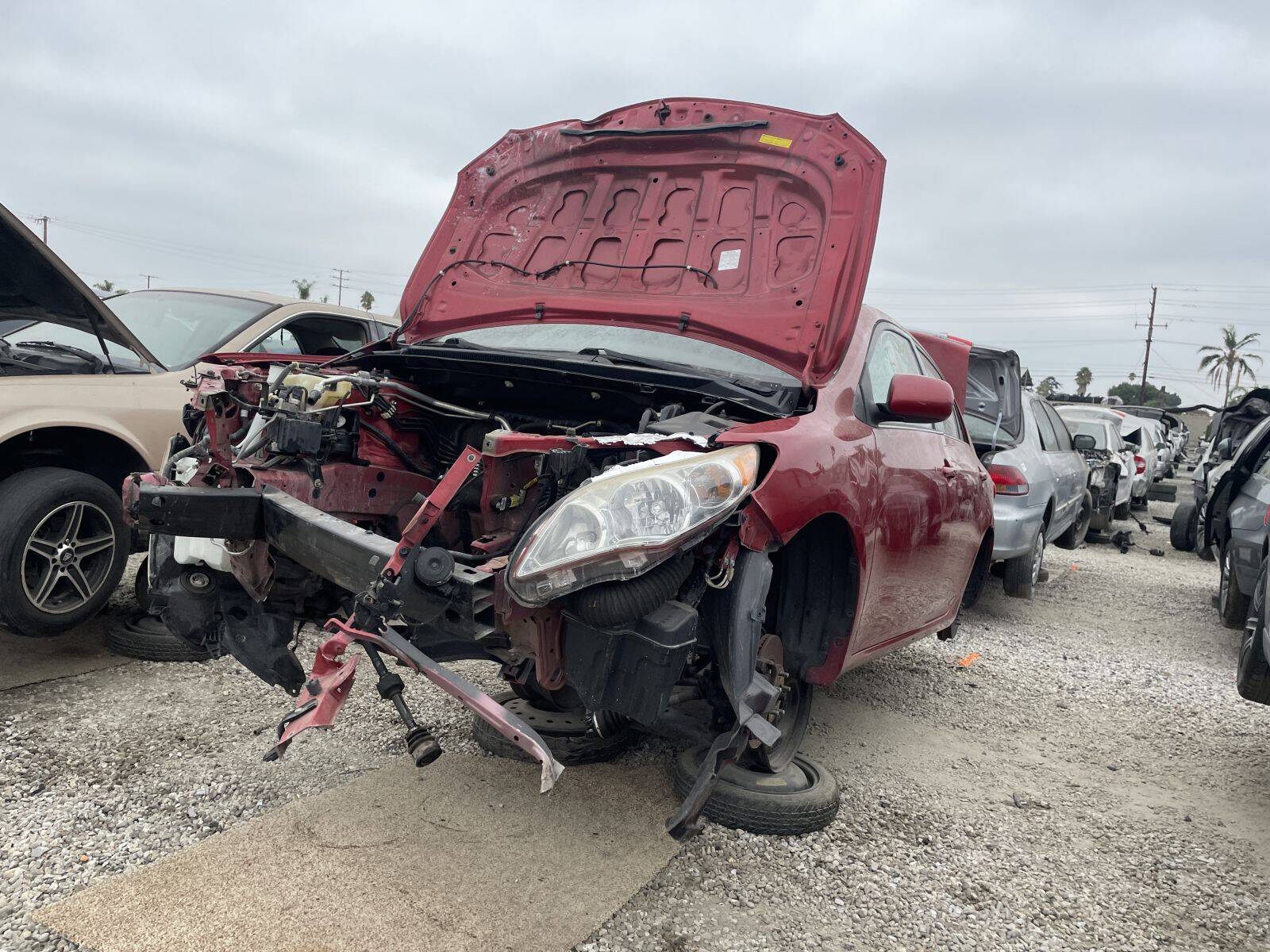 Catalog item POM059016