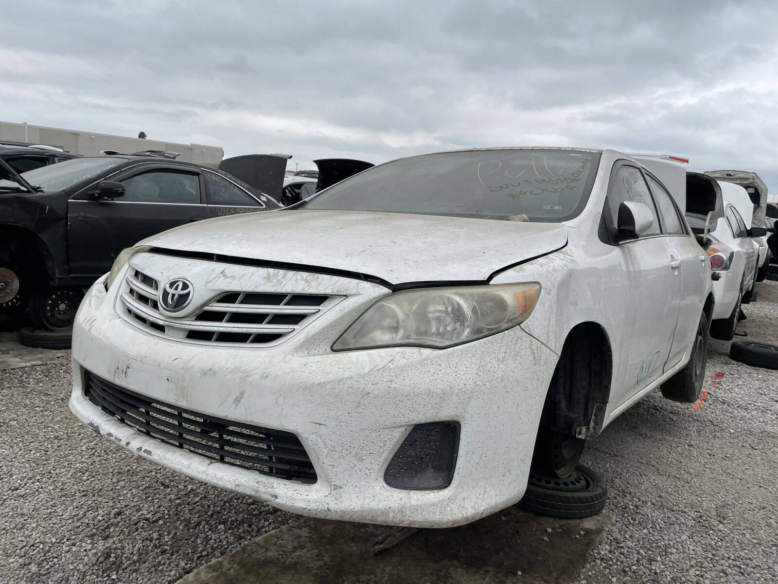 Catalog item POM059320