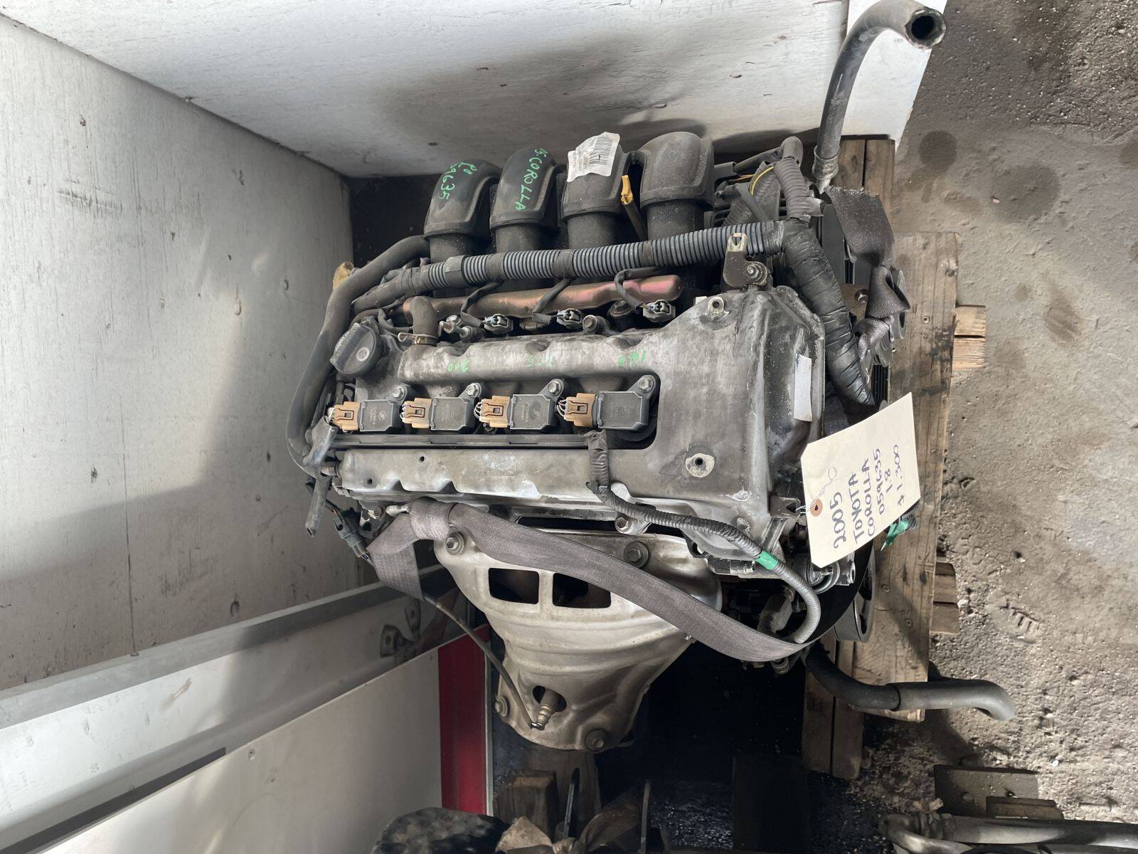 Catalog item POM059635