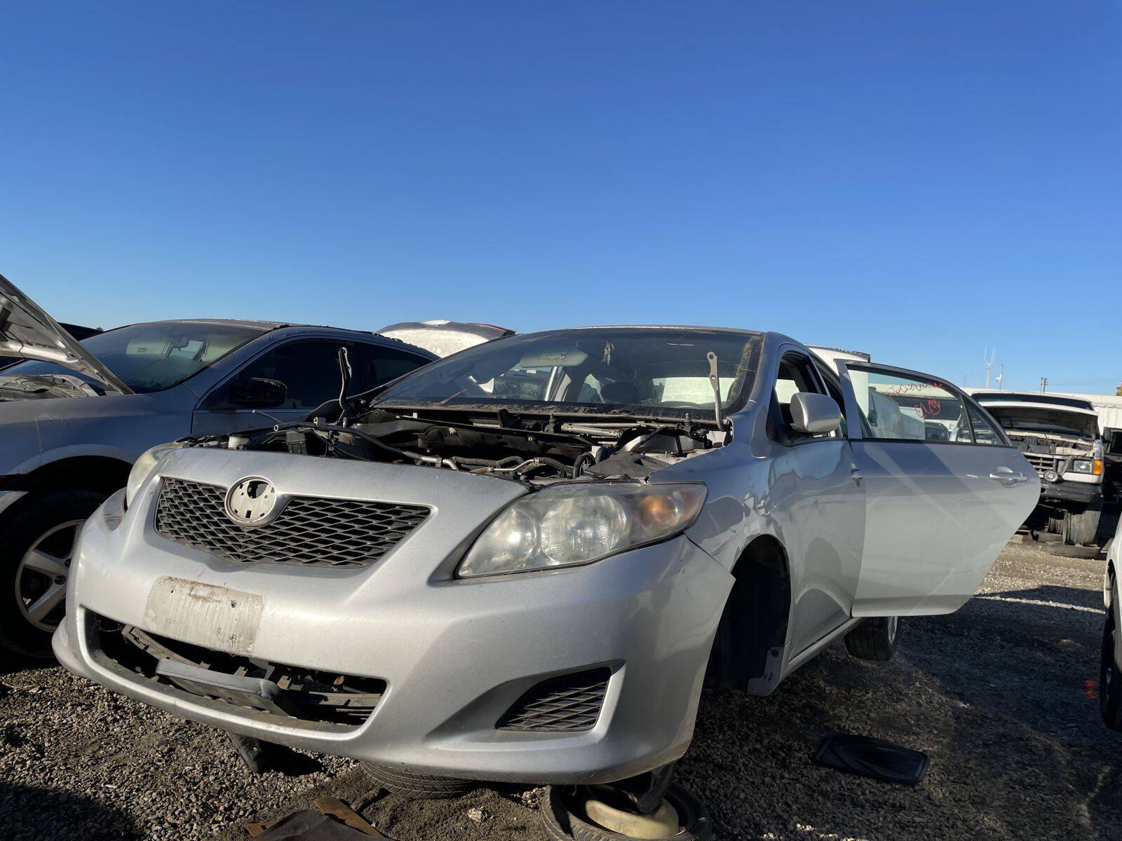 Catalog item POM059883