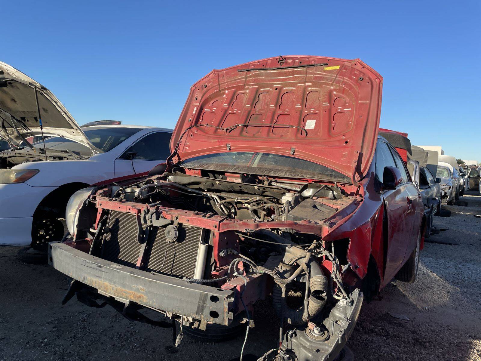 Catalog item POM060076