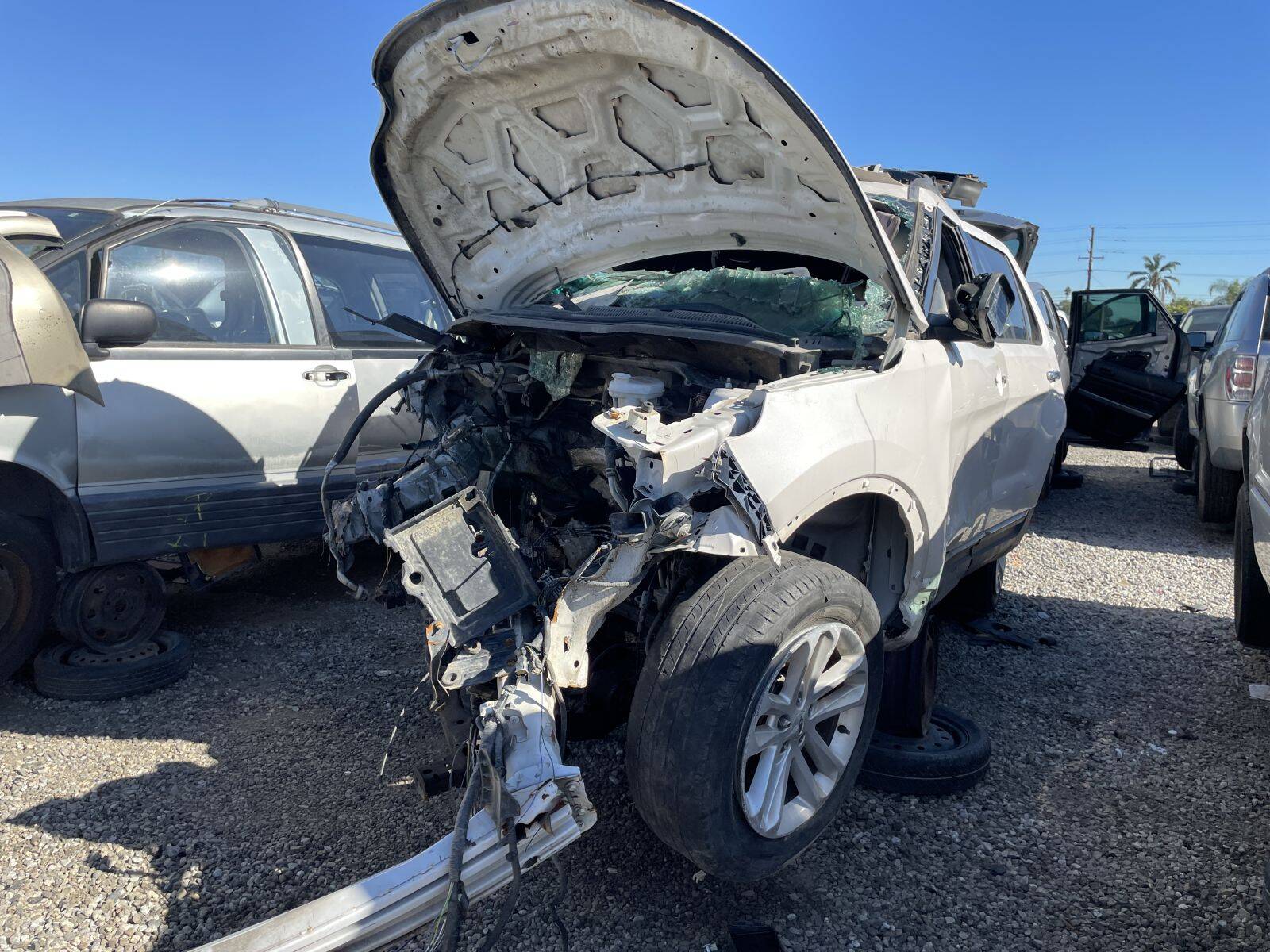 Artículo del catálogo POM060194