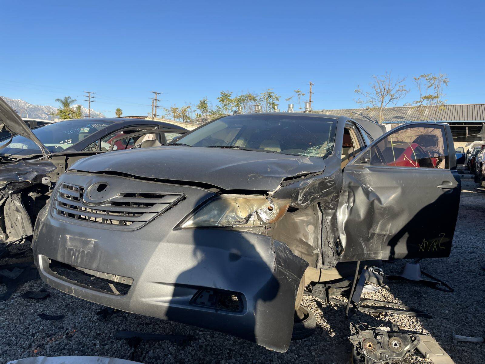 Catalog item POM060204