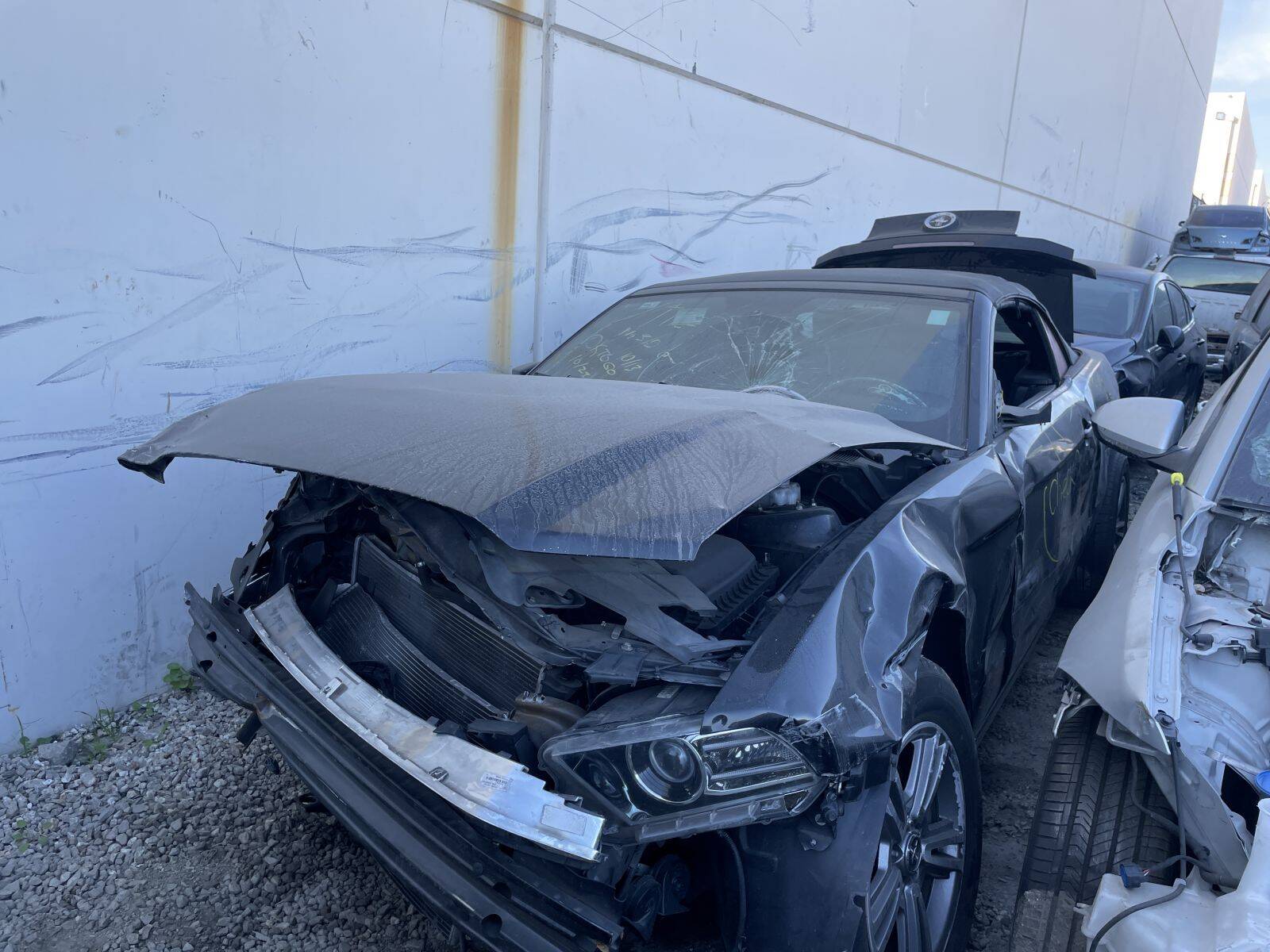 Artículo del catálogo POM060221