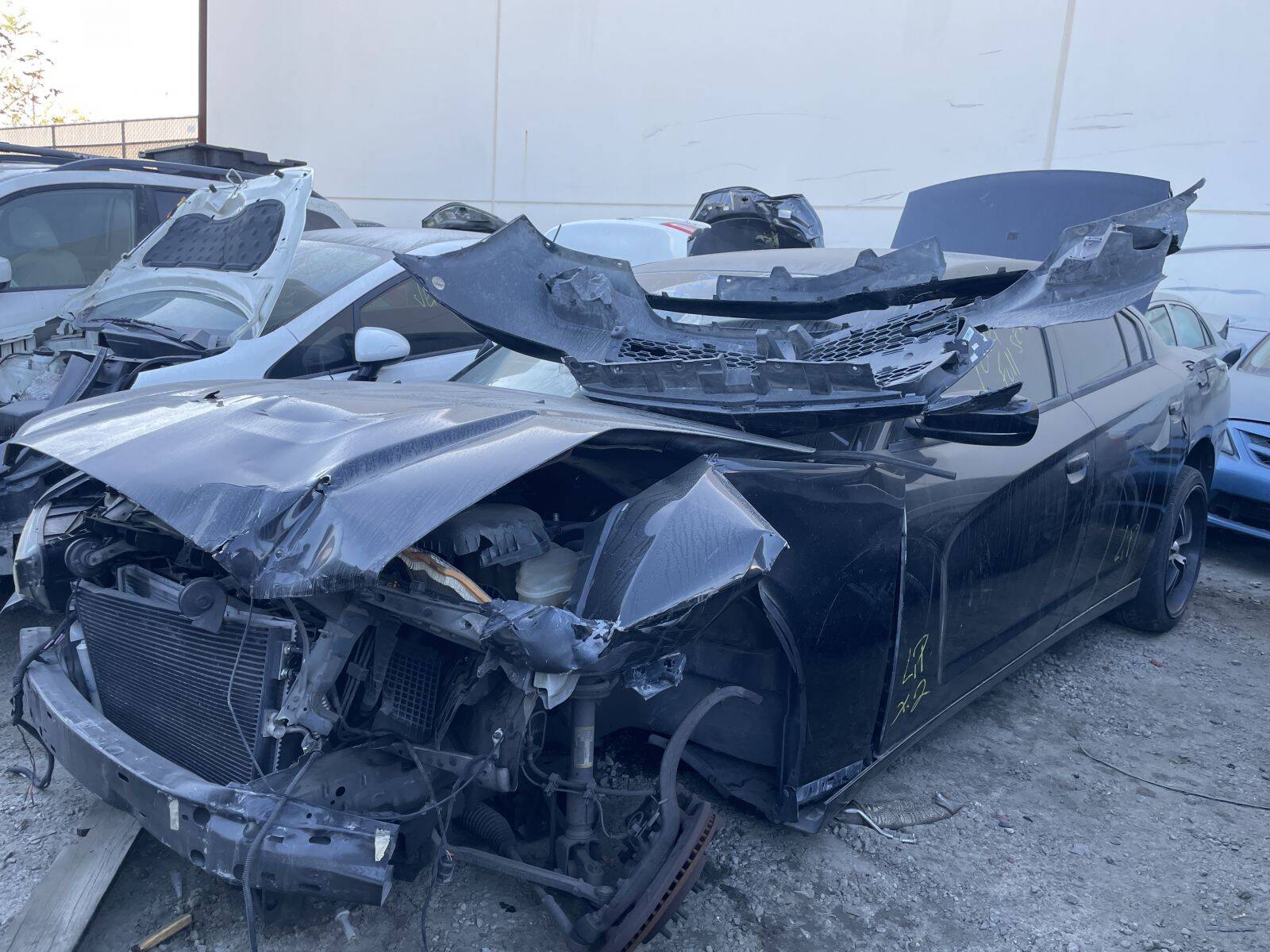 Artículo del catálogo POM060244