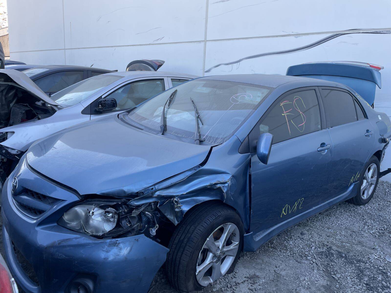 Catalog item POM060437