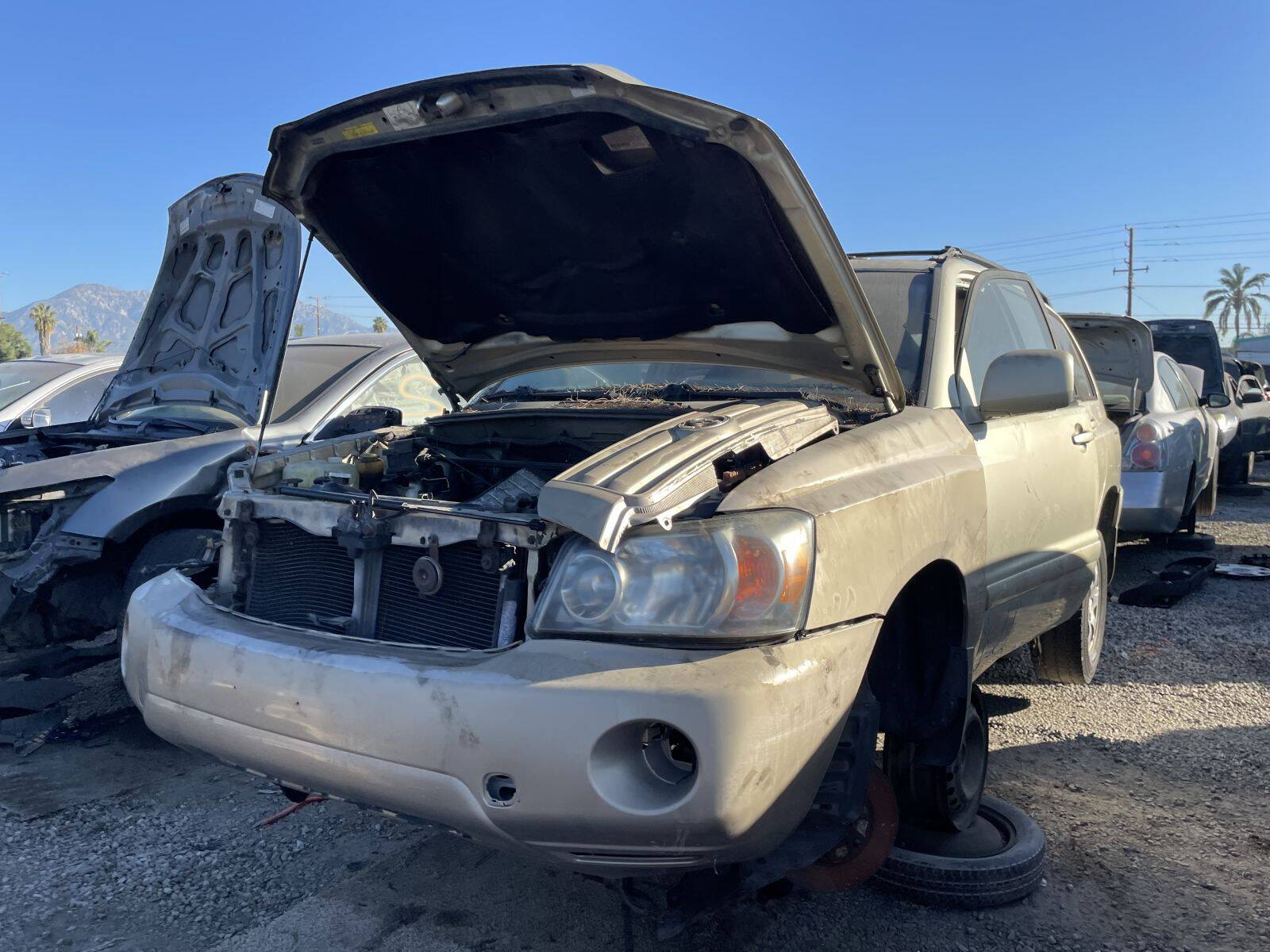 Catalog item POM060723