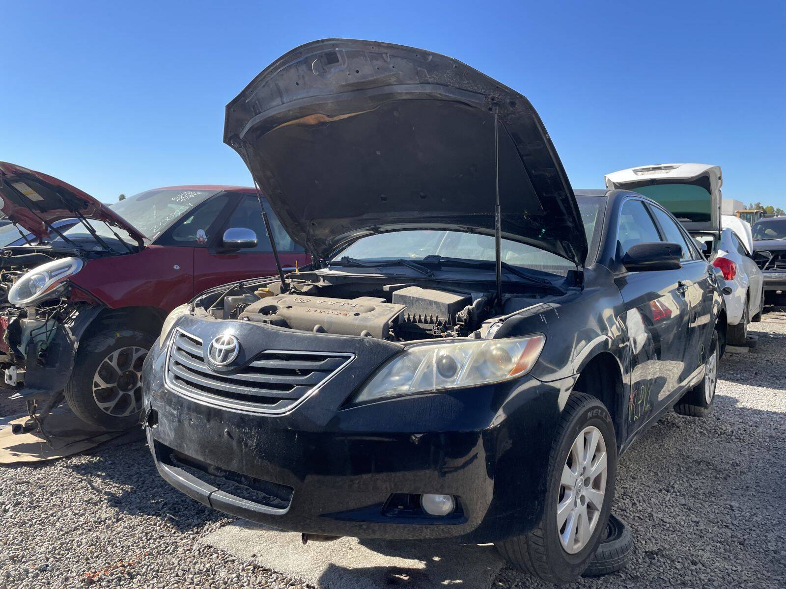 Catalog item POM060764