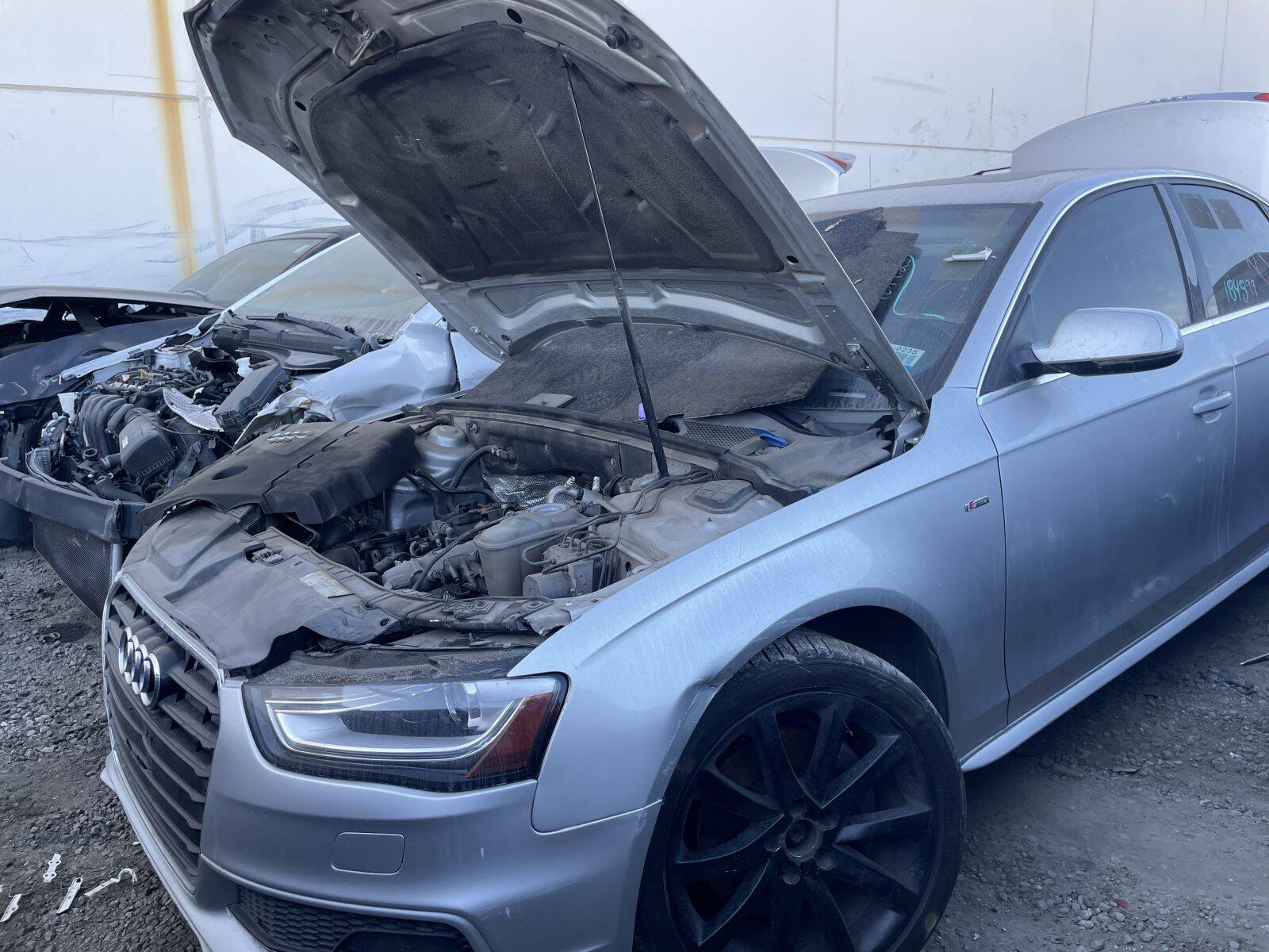 Artículo del catálogo POM060891