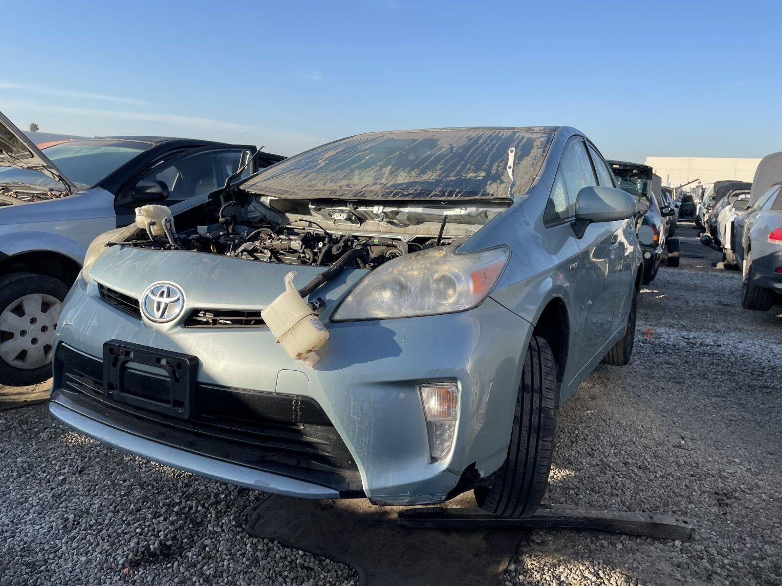 Catalog item POM060901