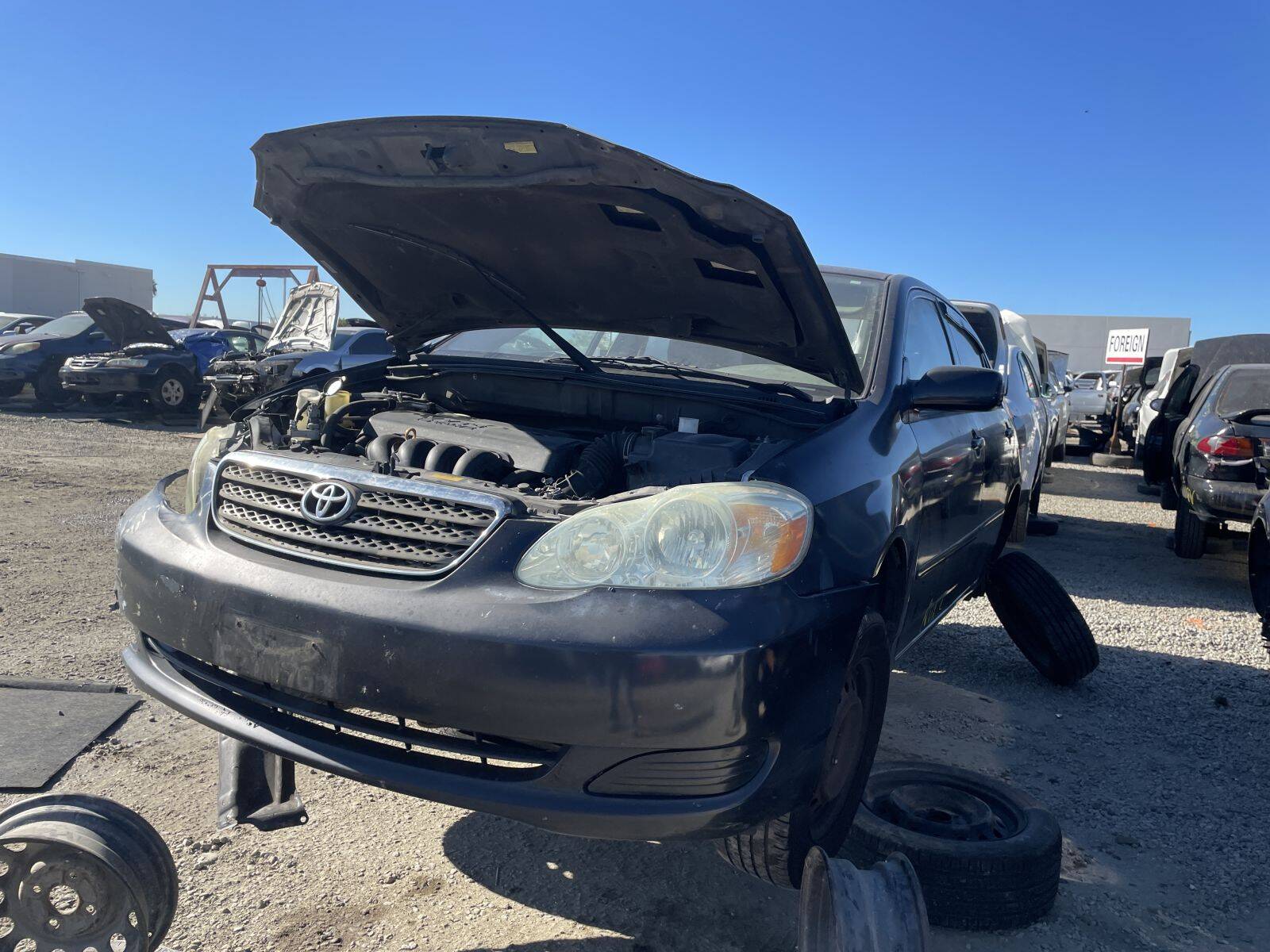 Catalog item POM060958