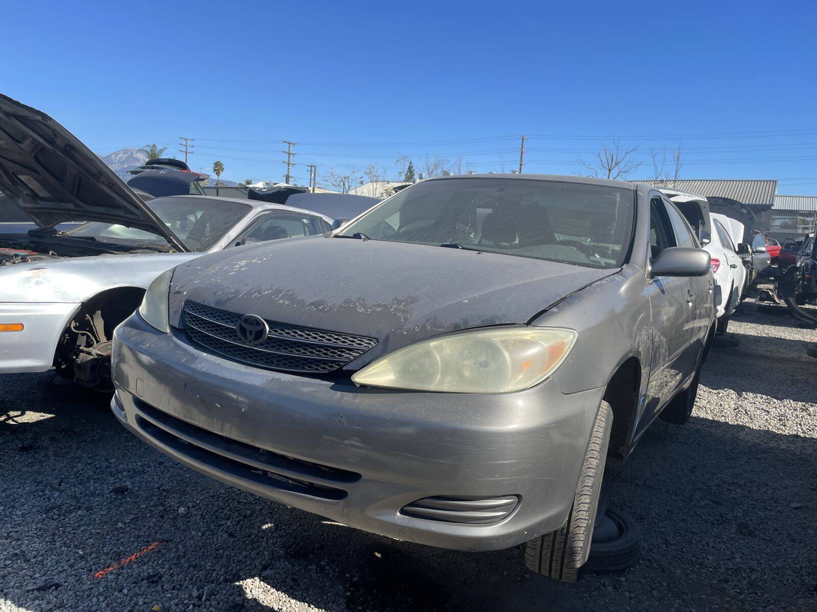 Catalog item POM060993