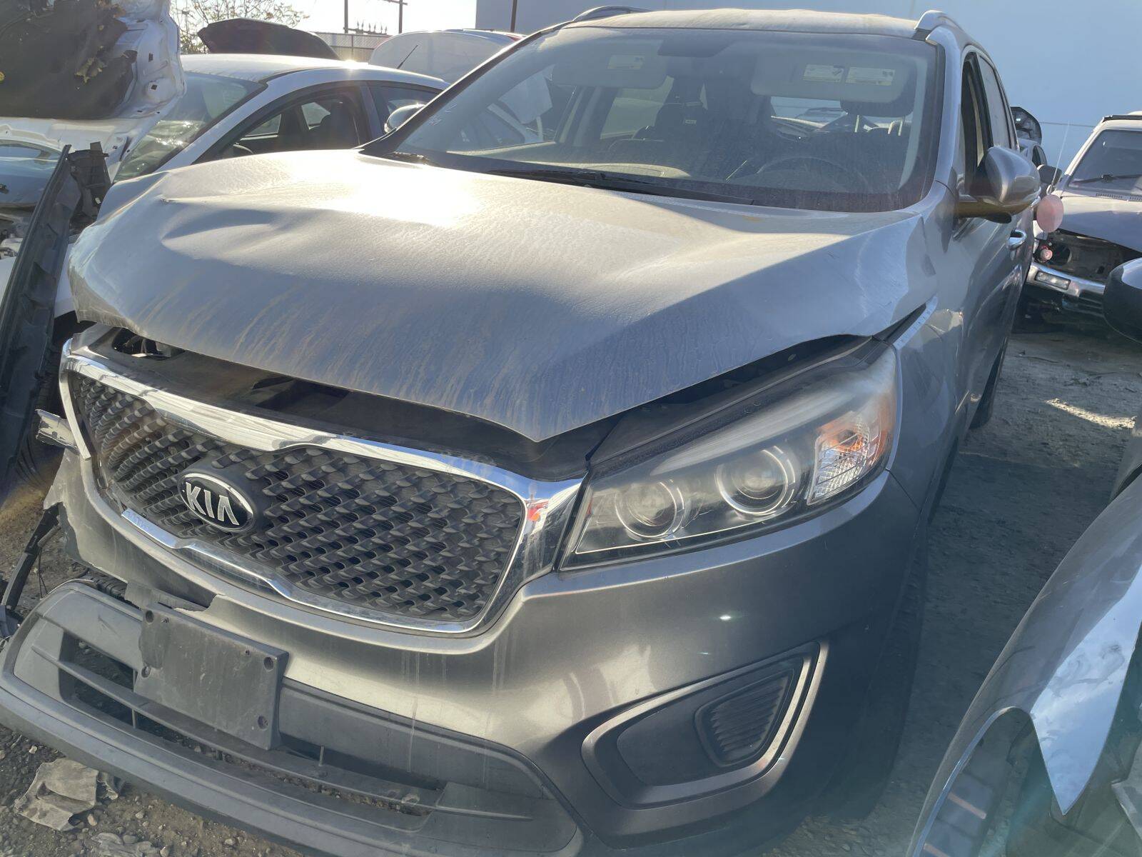 Artículo del catálogo POM061028