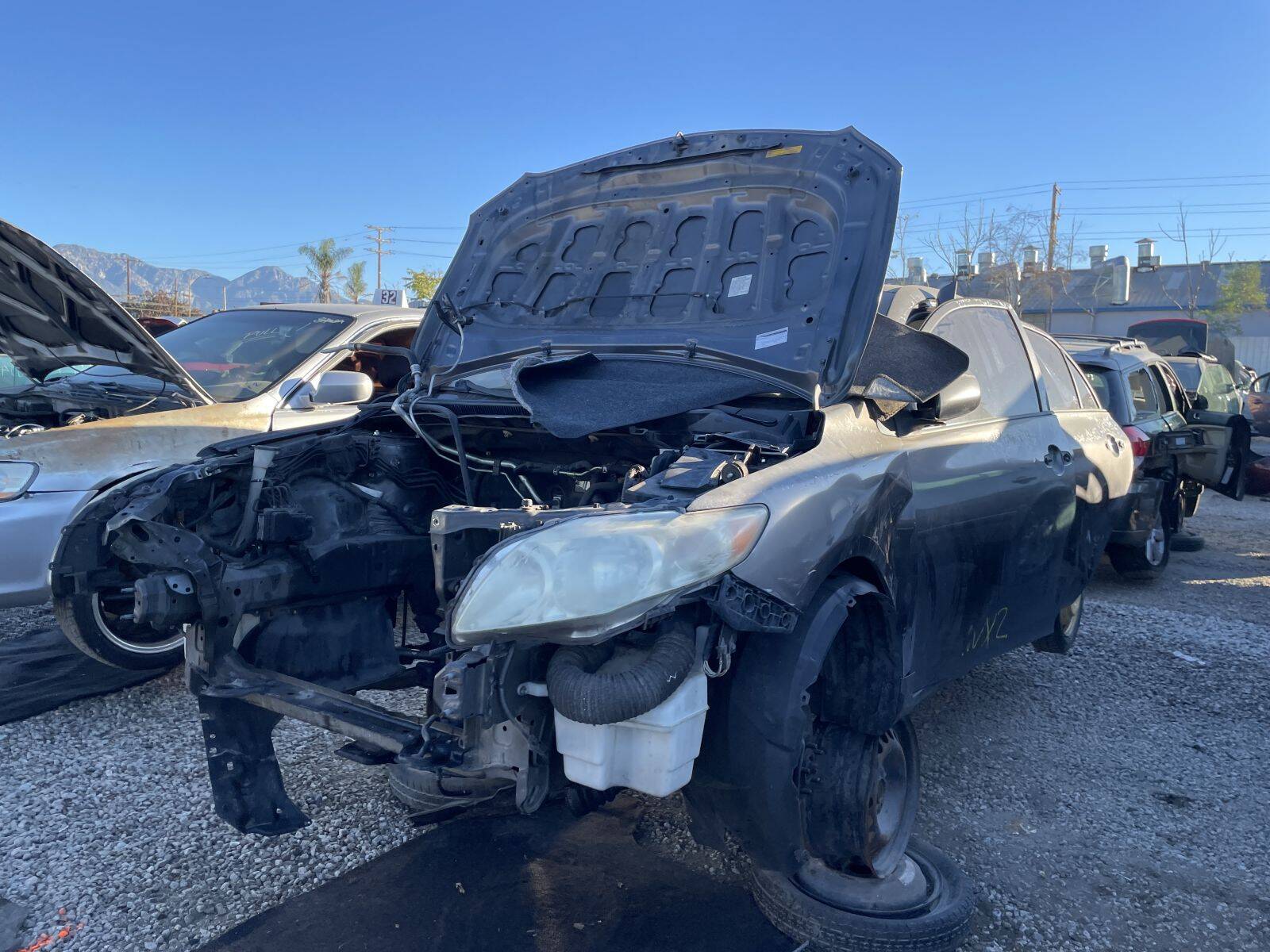 Catalog item POM061040