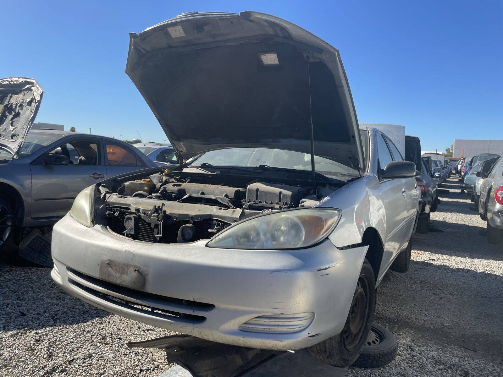 Catalog item POM061077