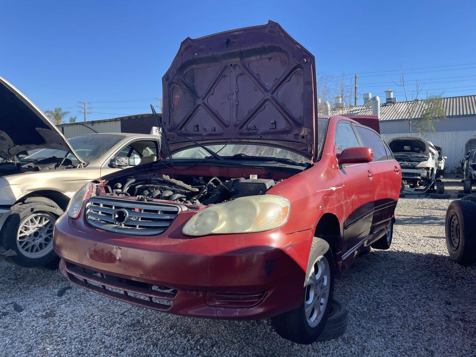 Catalog item POM061181